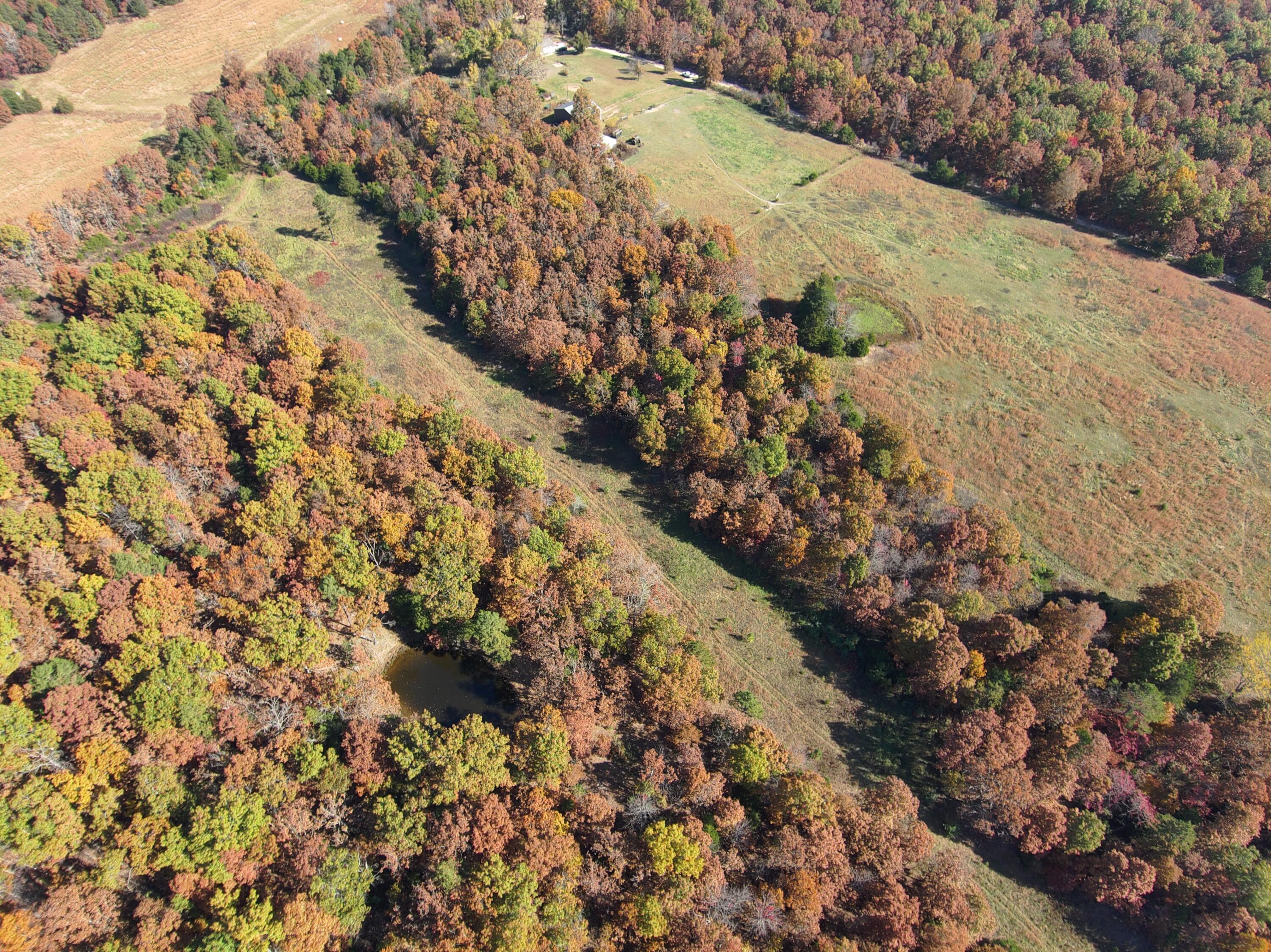8969 County Road 445 Property Photo 50