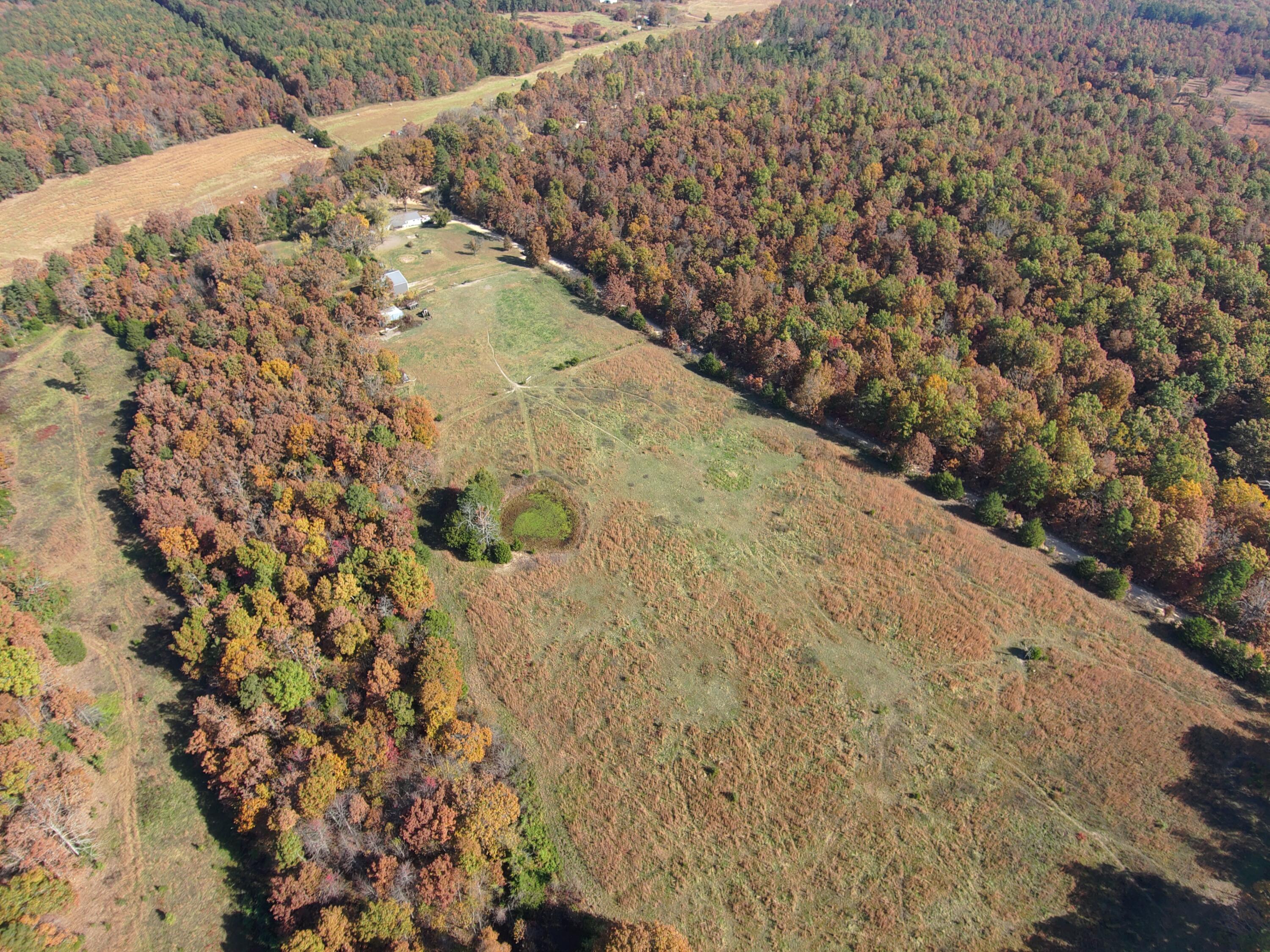 8969 County Road 445 Property Photo 51