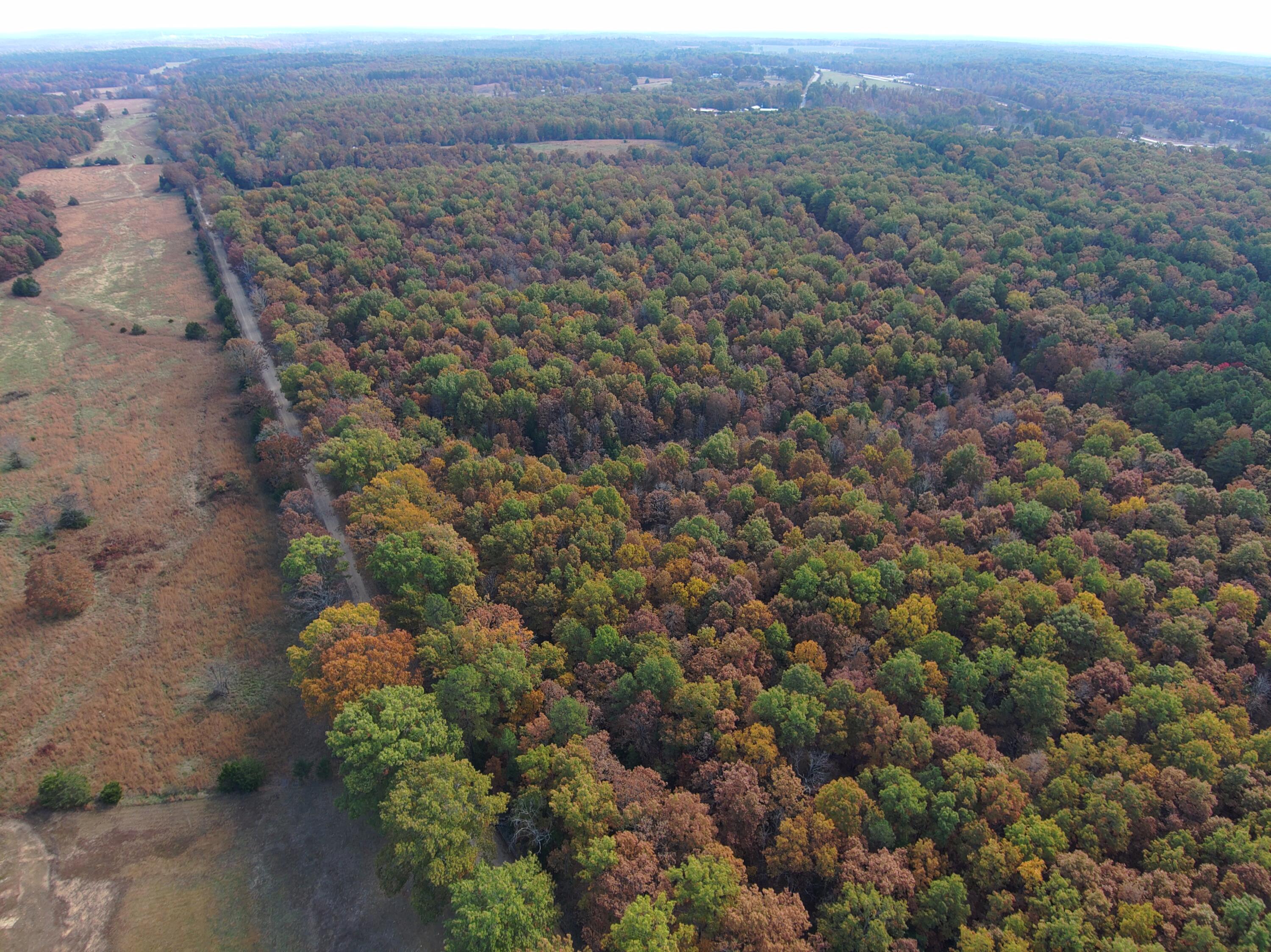 8969 County Road 445 Property Photo 52