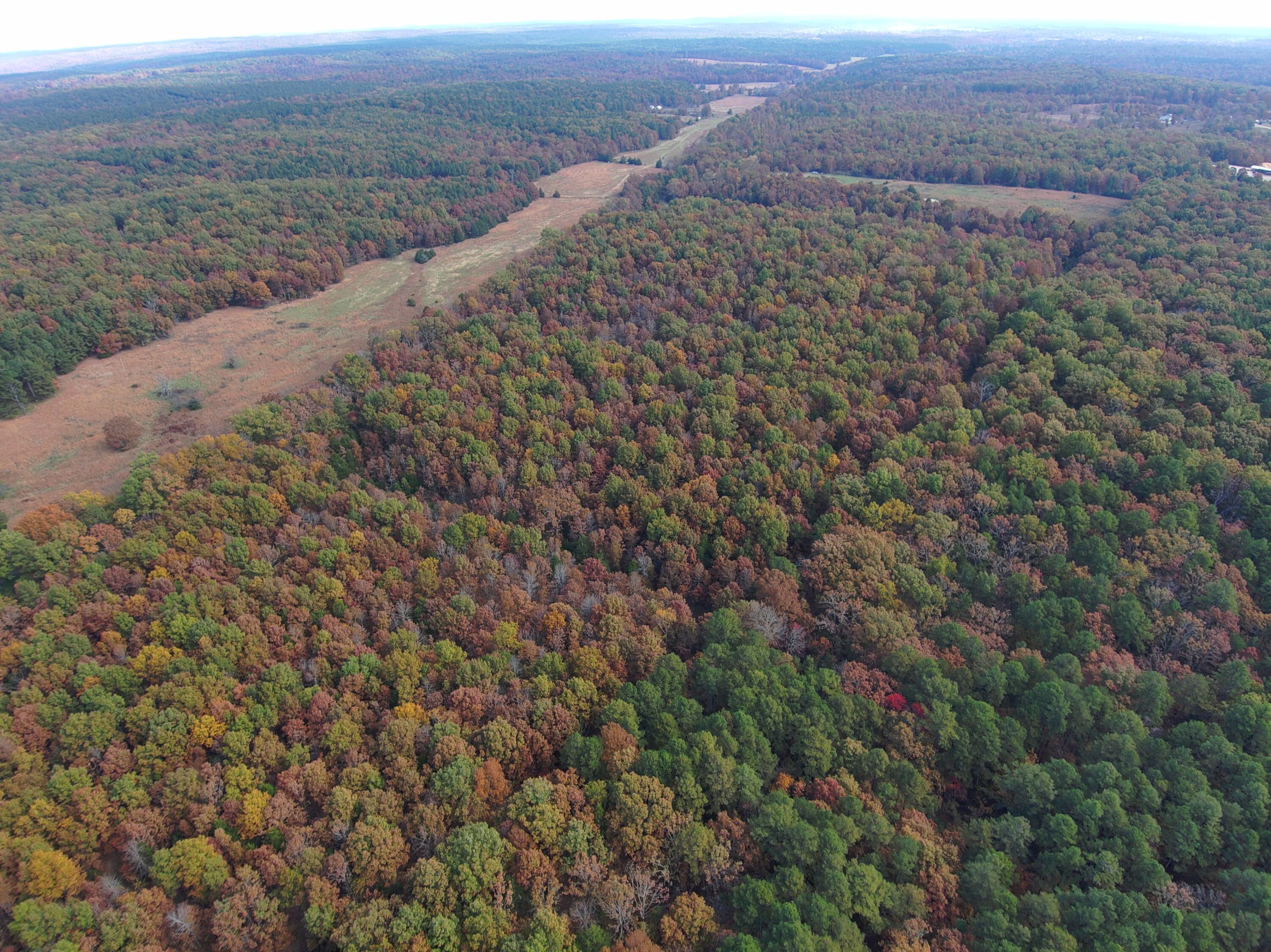 8969 County Road 445 Property Photo 53