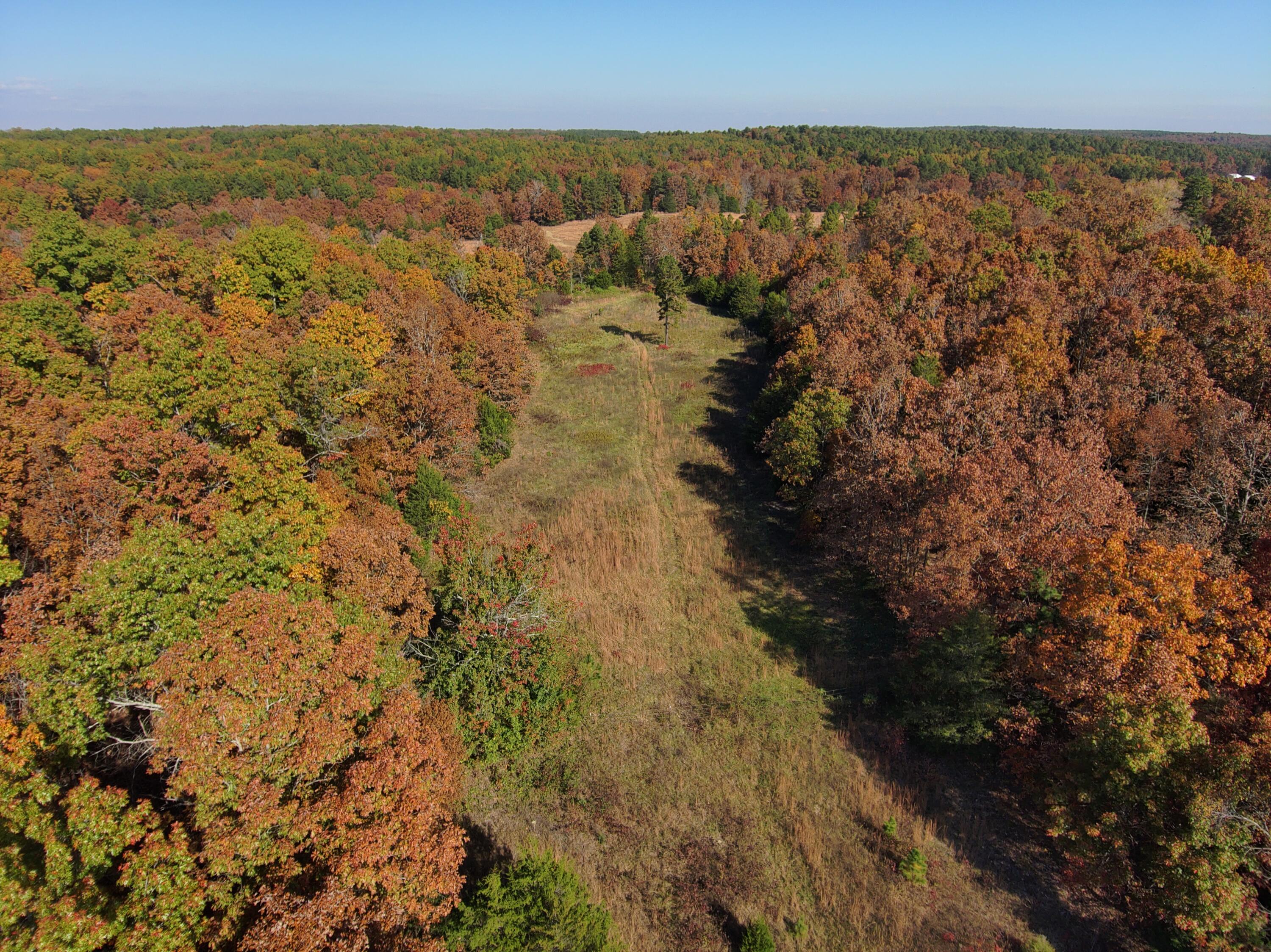 8969 County Road 445 Property Photo 54