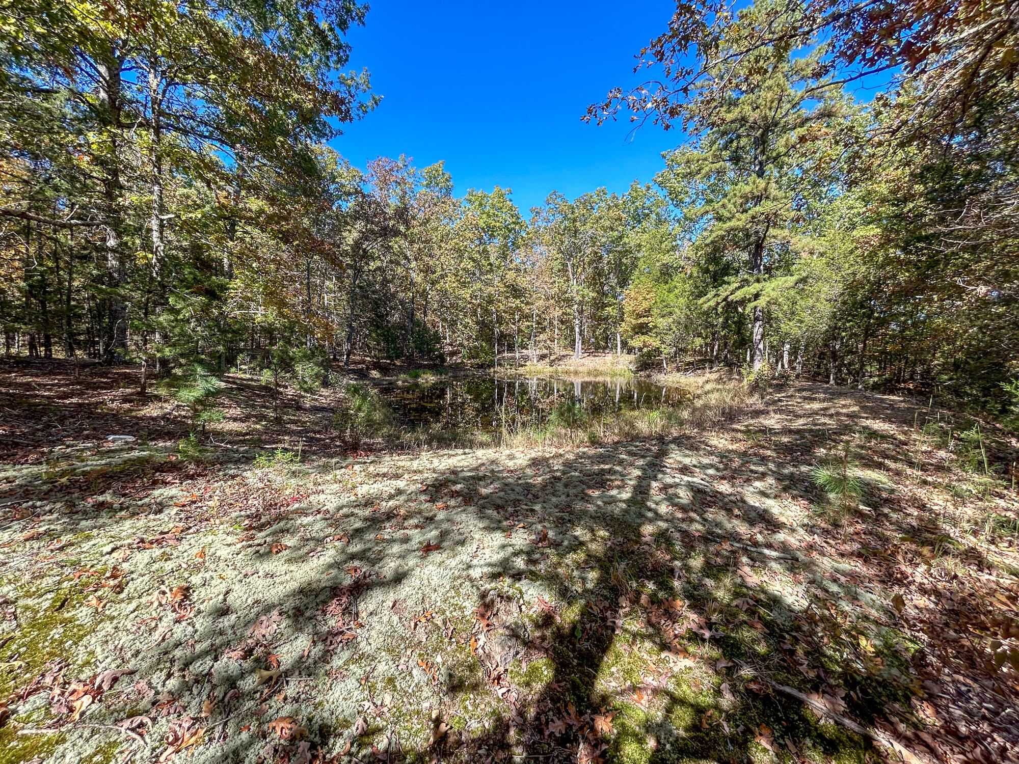 8969 County Road 445 Property Photo 60