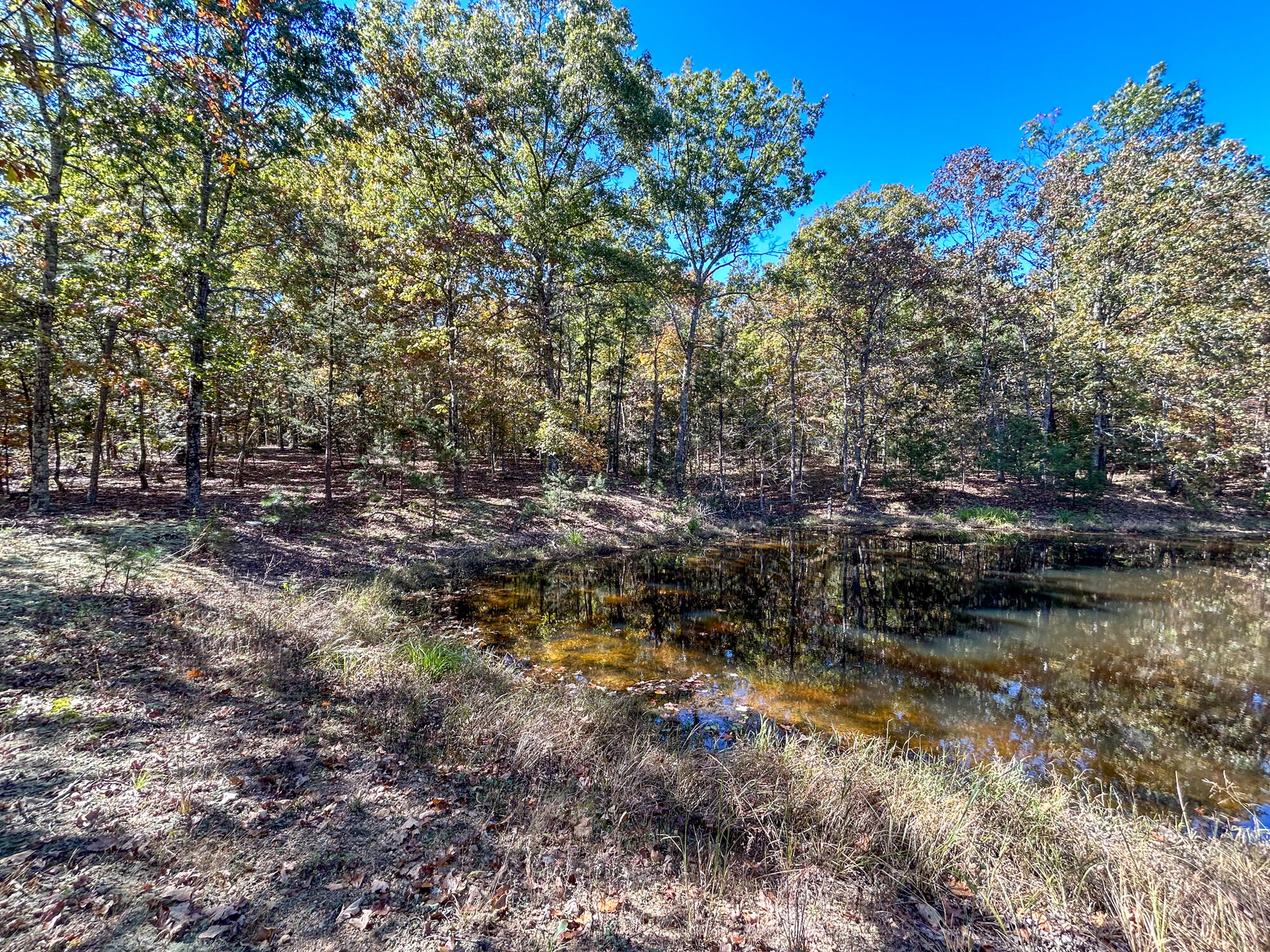 8969 County Road 445 Property Photo 61