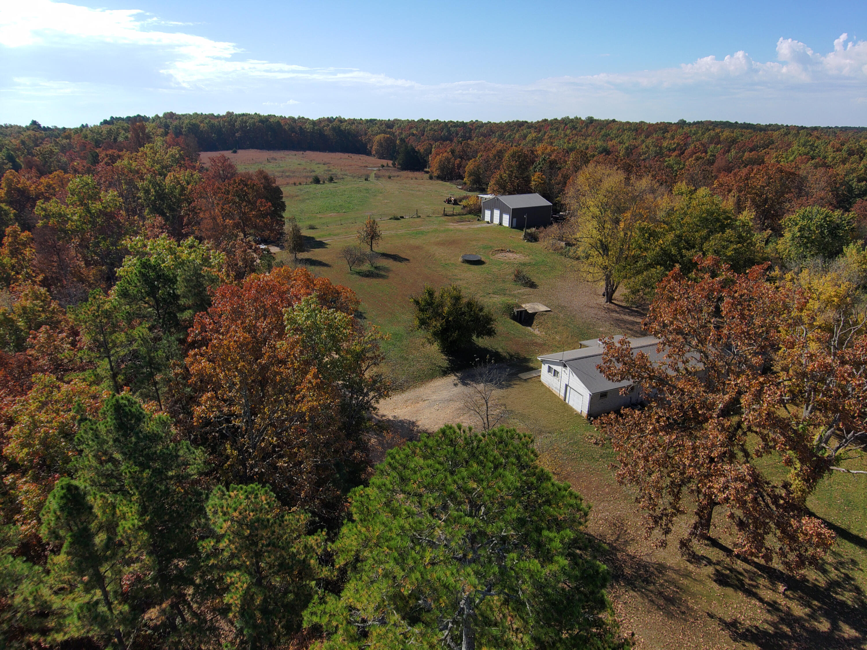 8969 County Road 445 Property Photo 89