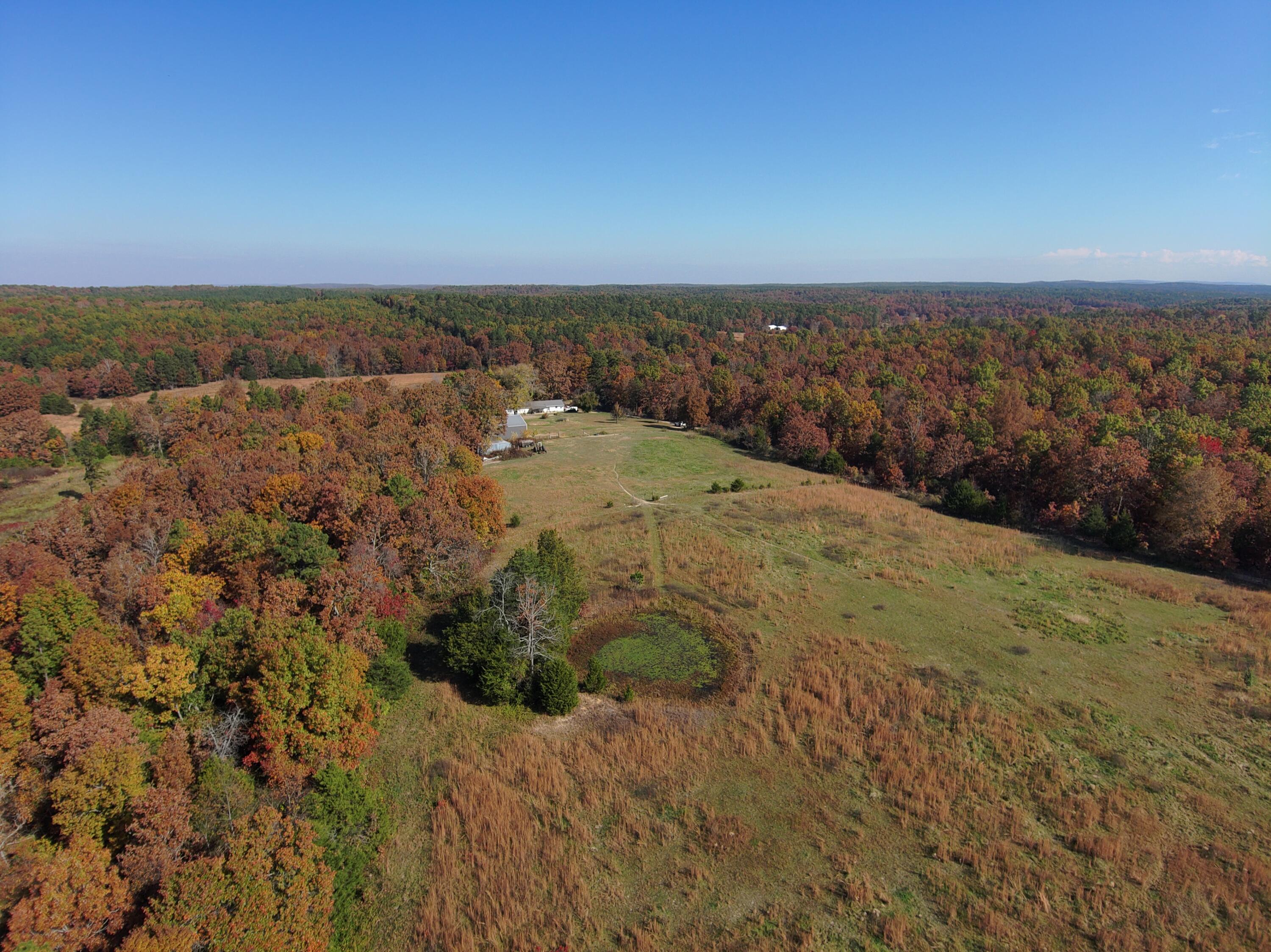 8969 County Road 445 Property Photo 11