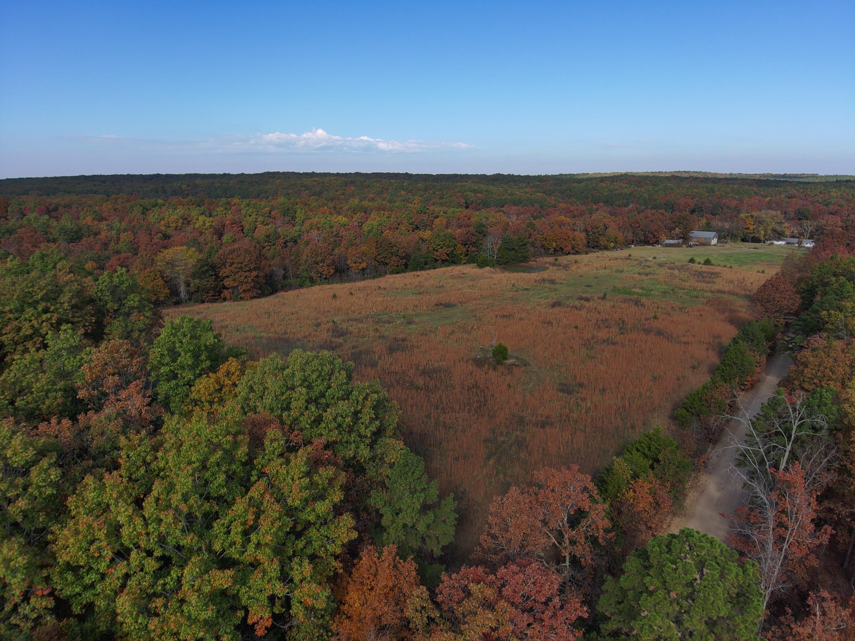 8969 County Road 445 Property Photo 12