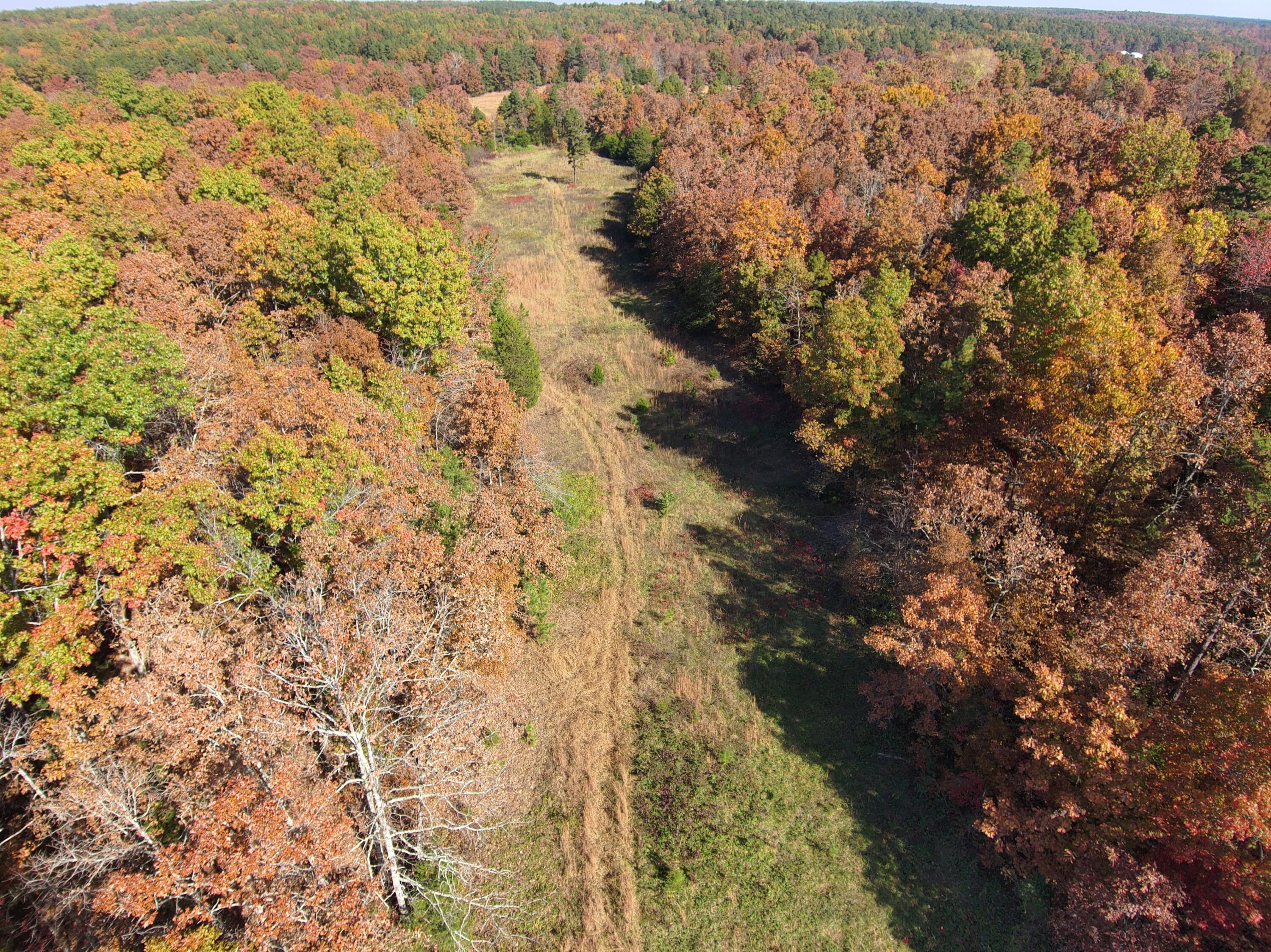 8969 County Road 445 Property Photo 13