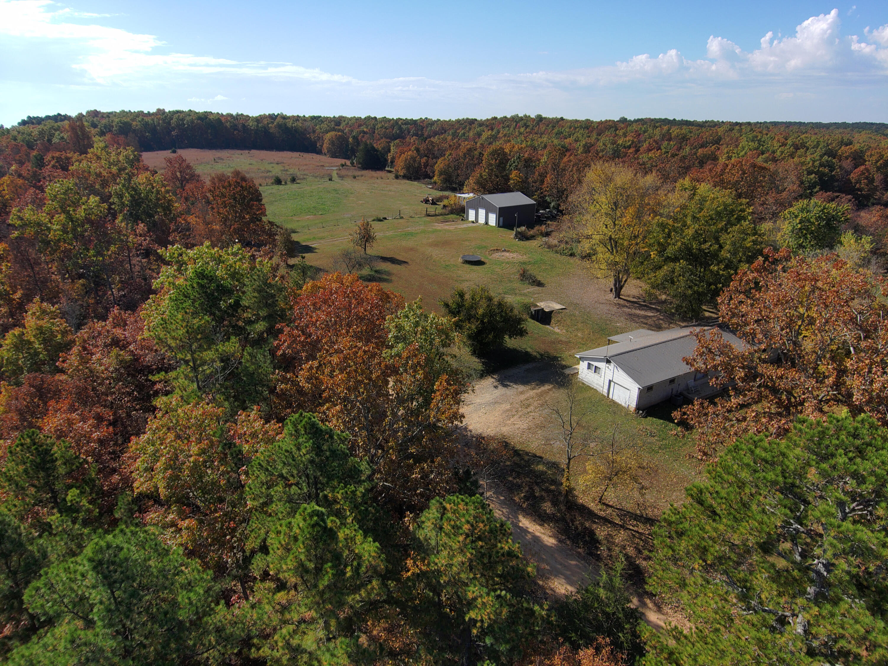8969 County Road 445 Property Photo 24