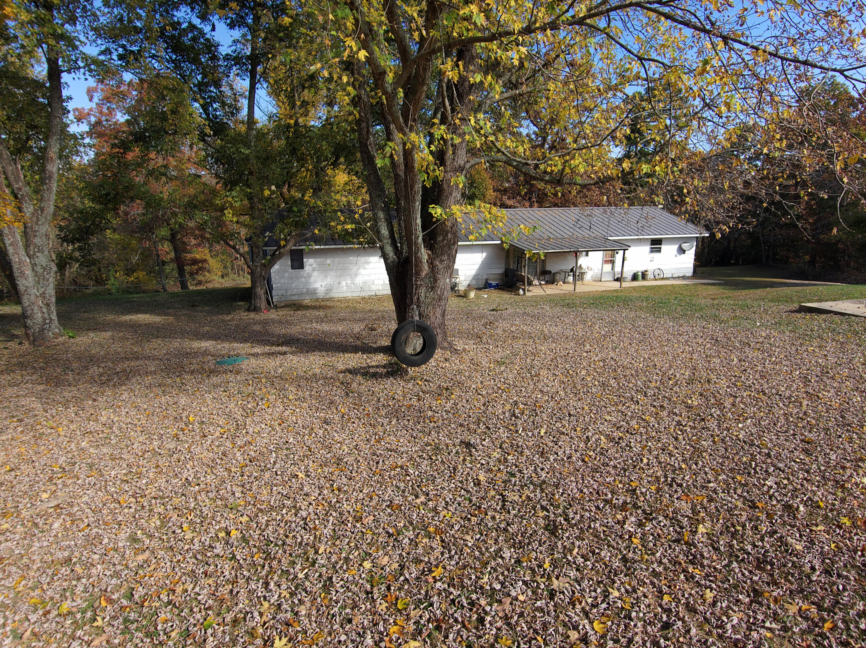 8969 County Road 445 Property Photo 33
