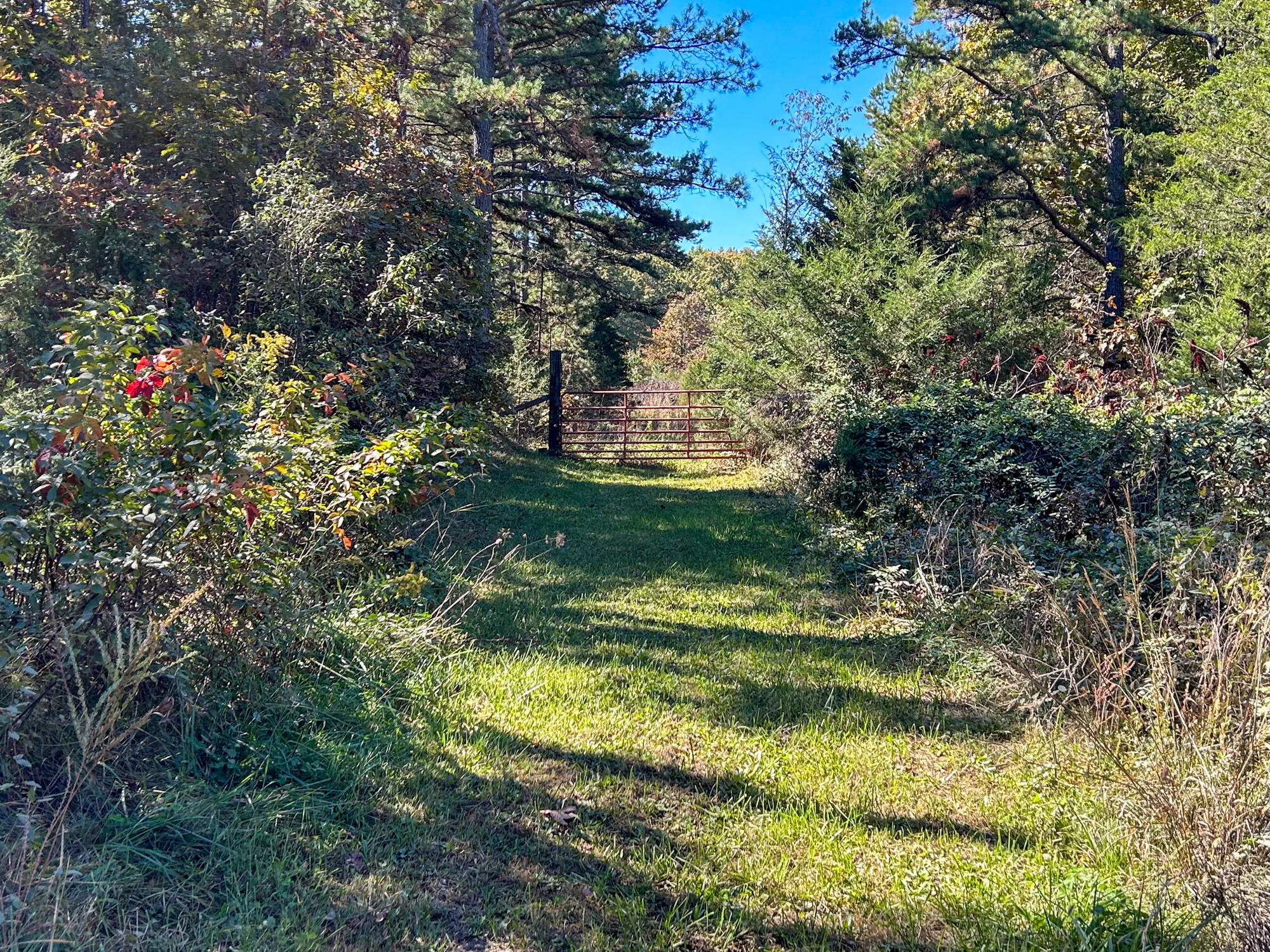 8969 County Road 445 Property Photo 72