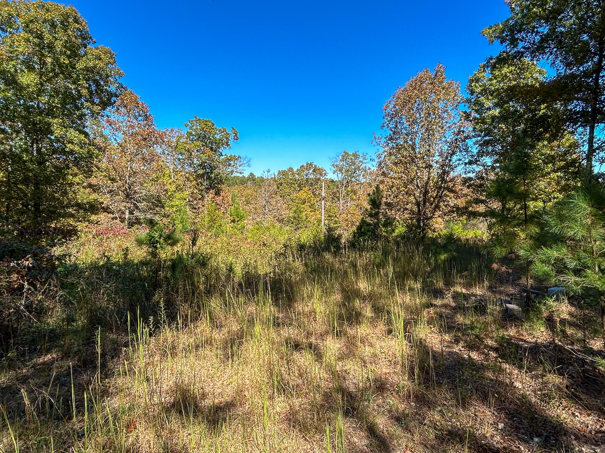 8969 County Road 445 Property Photo 89
