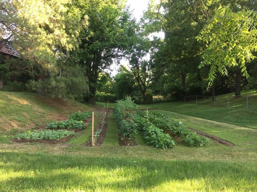 9092 Hwy 86 Property Photo 64