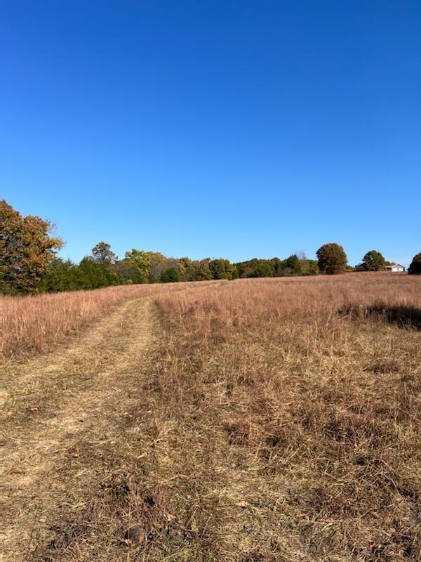 000 County Road Kk-404 Property Photo