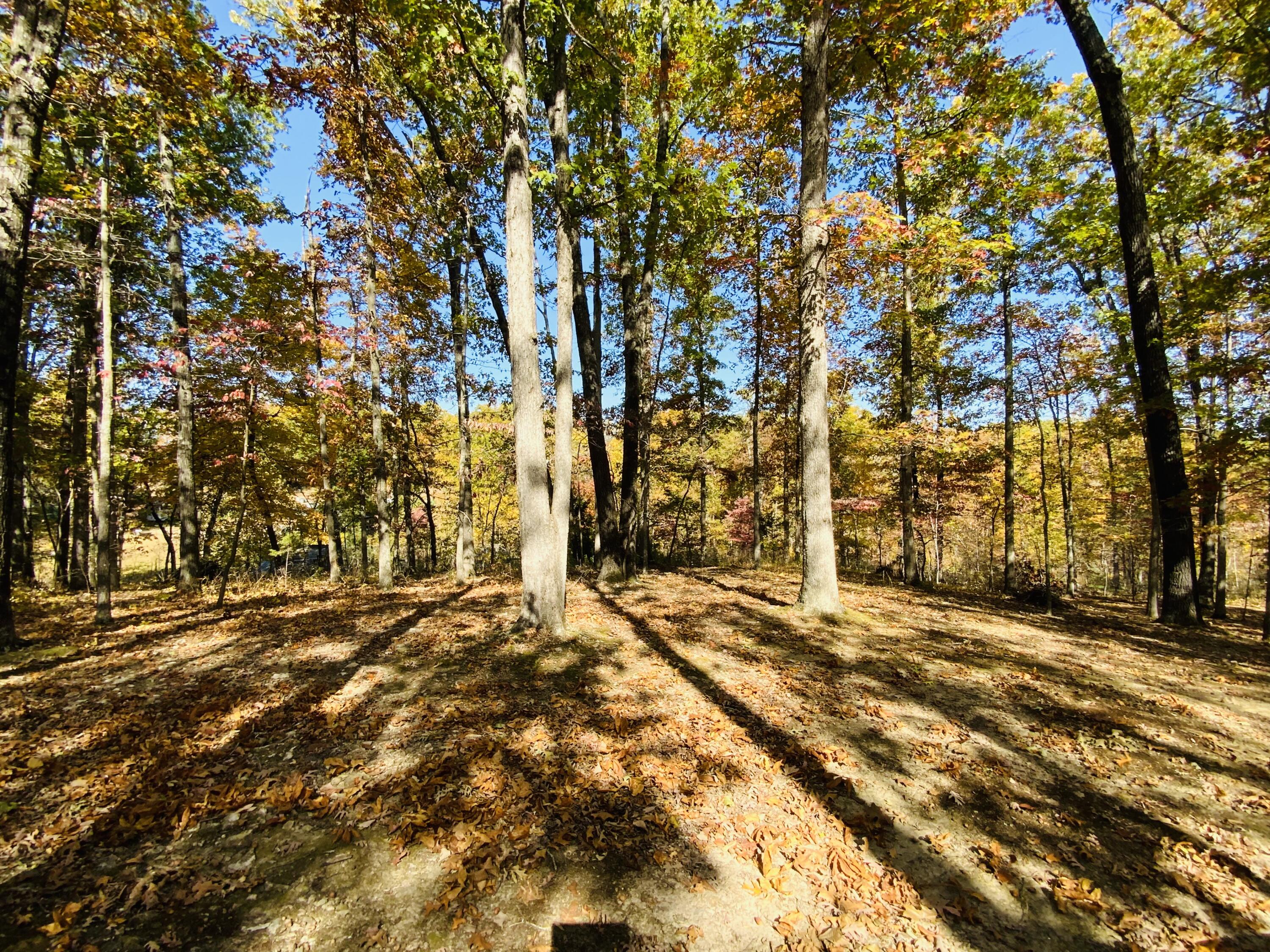 1814 State Highway 125 Property Photo 35