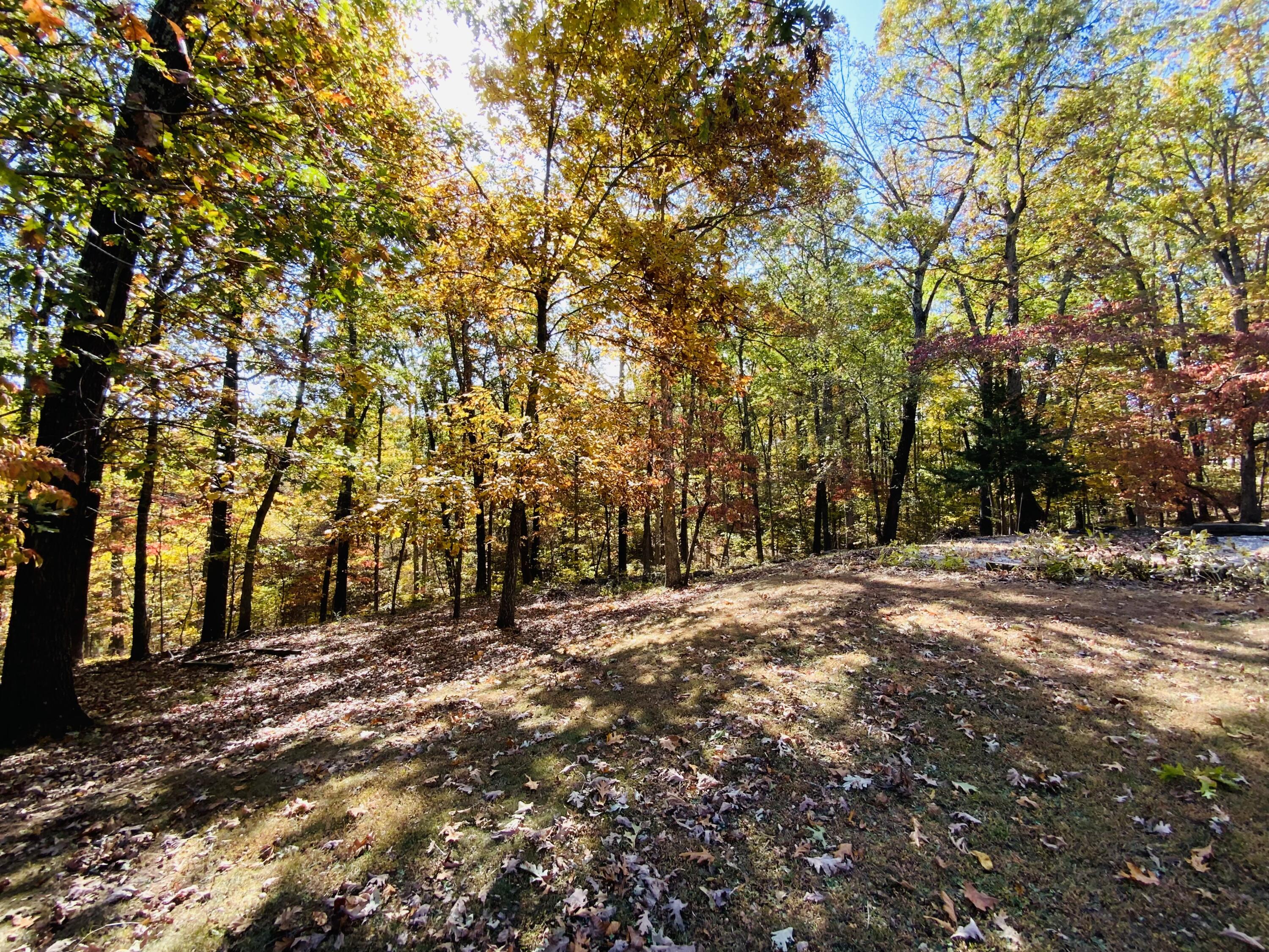 1814 State Highway 125 Property Photo 36