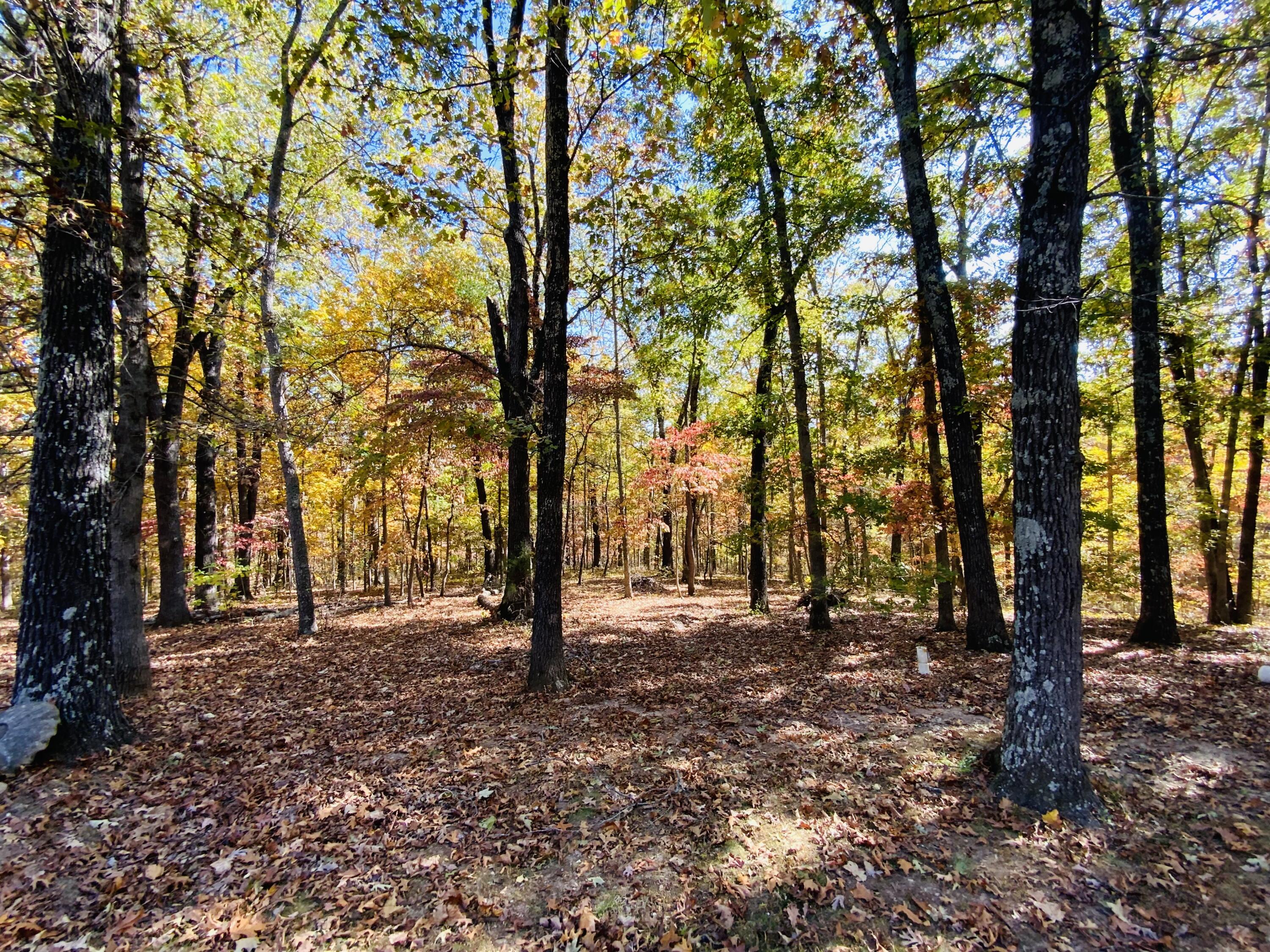 1814 State Highway 125 Property Photo 37