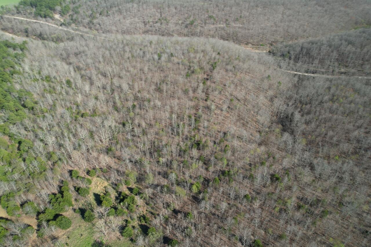 000 Private Rd 2661 Property Photo 10