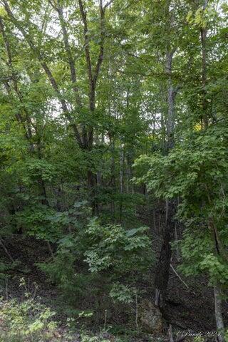 000 Private Rd 2661 Property Photo 14