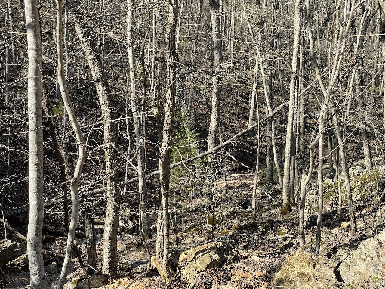 000 Private Rd 2661 Property Photo 17