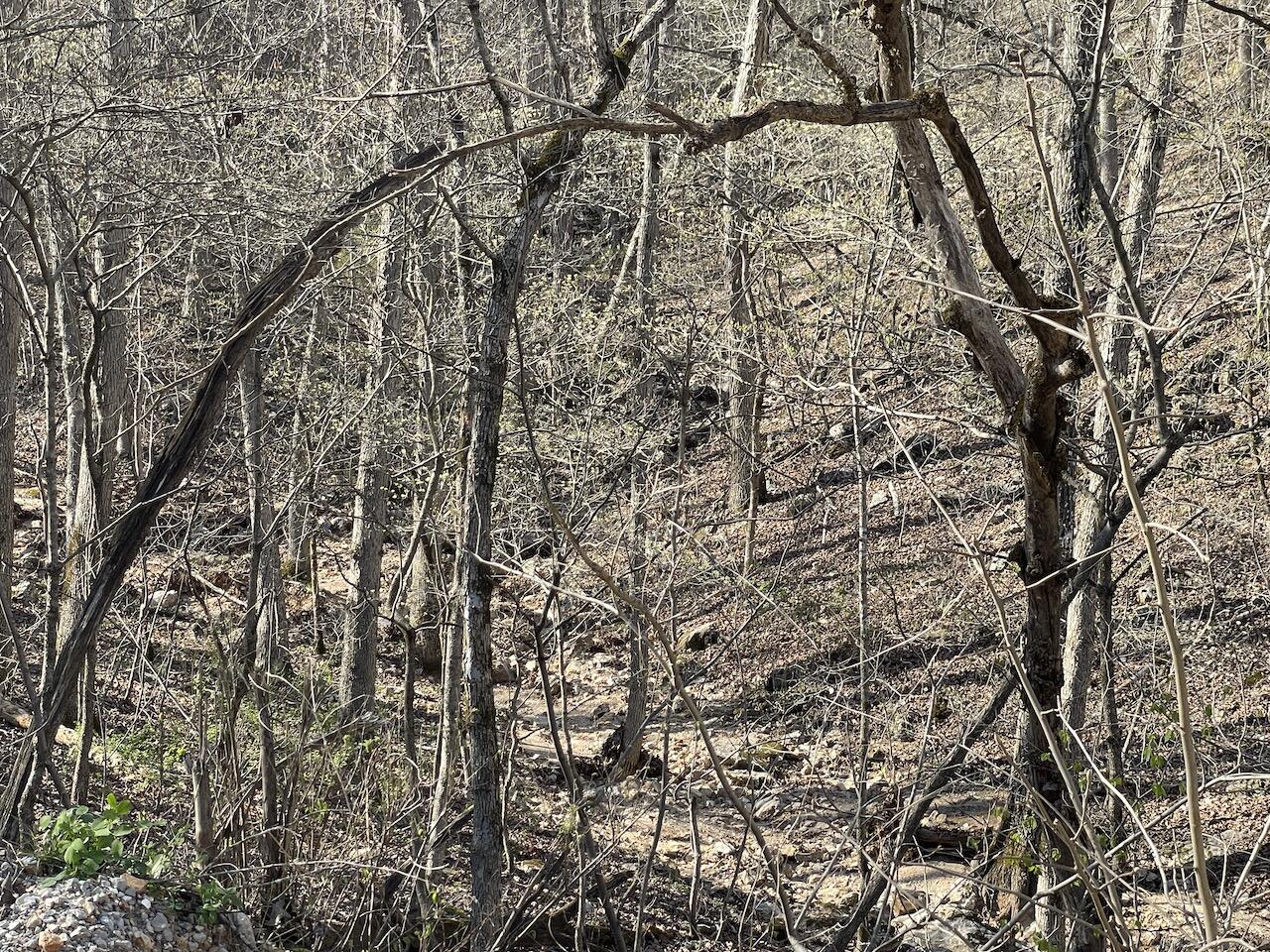 000 Private Rd 2661 Property Photo 18