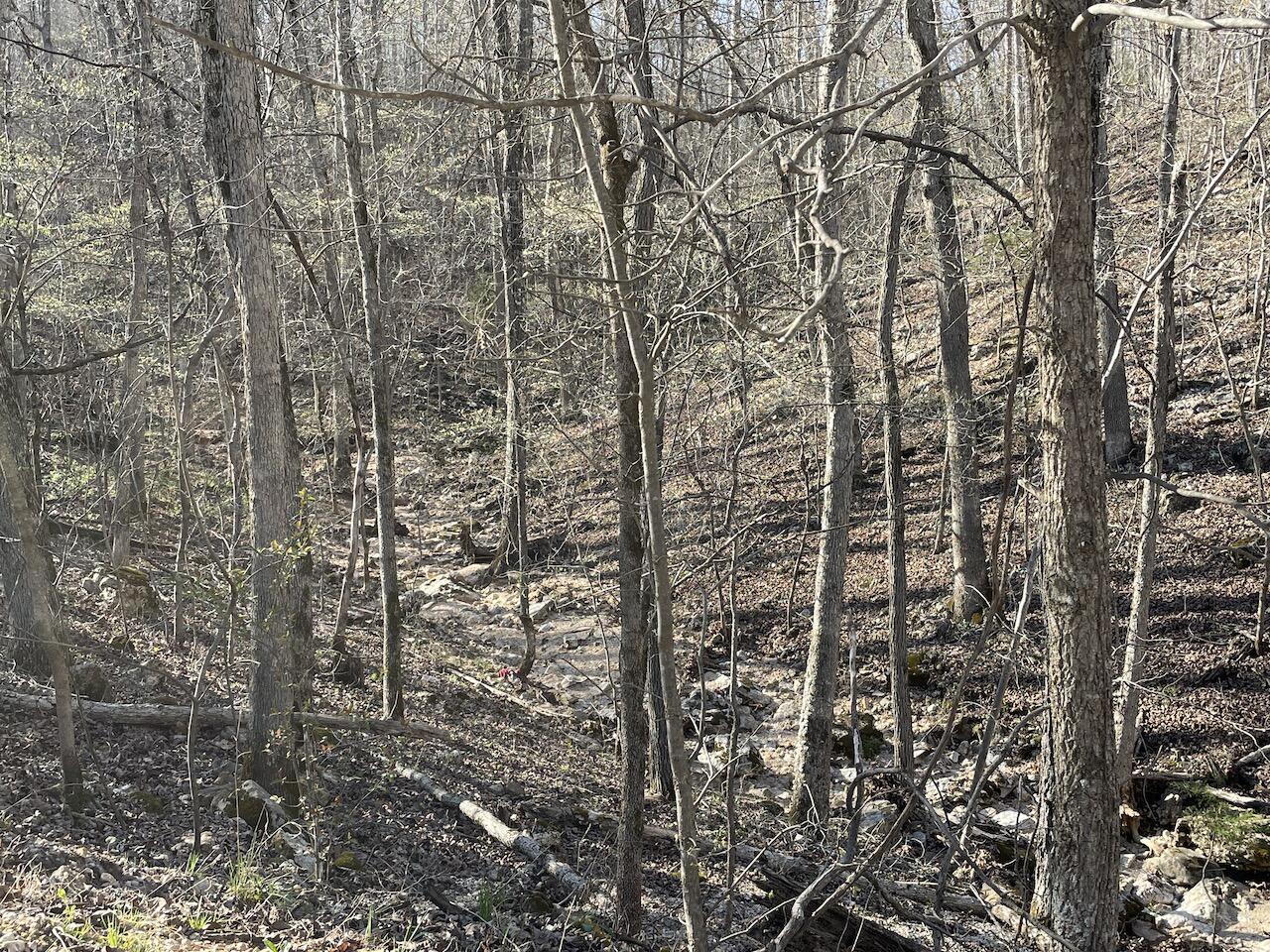 000 Private Rd 2661 Property Photo 22