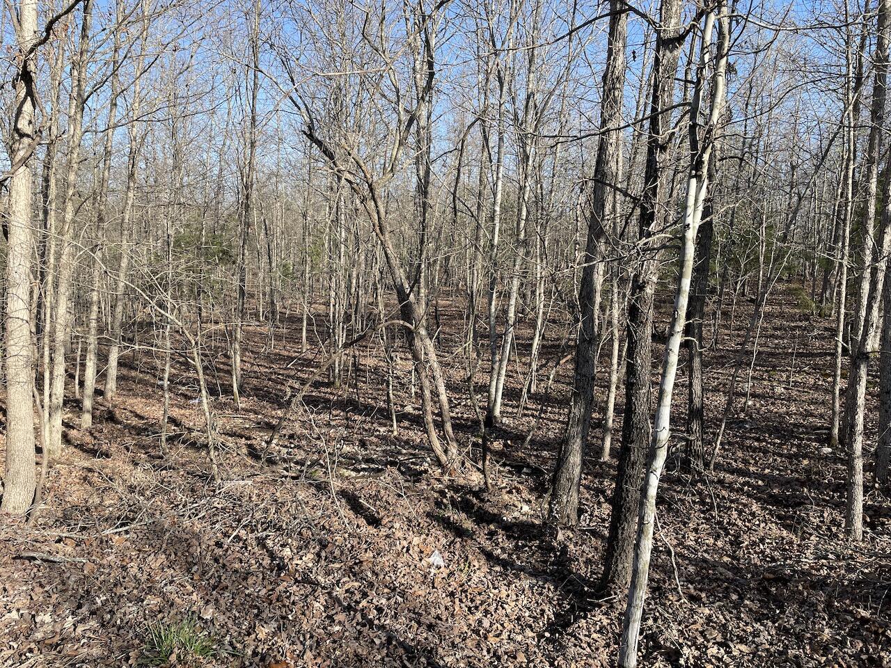 000 Private Rd 2661 Property Photo 23