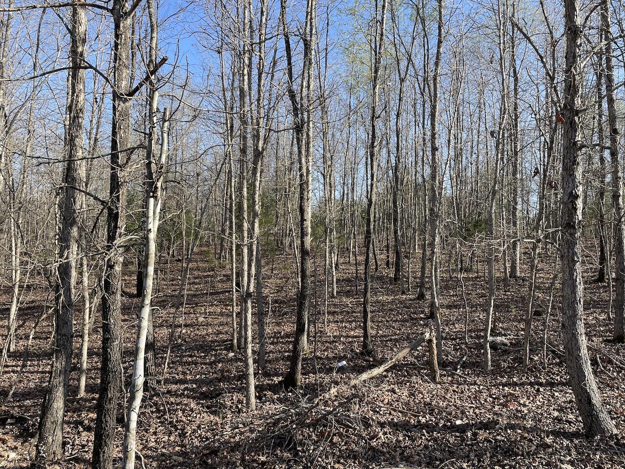 000 Private Rd 2661 Property Photo 24