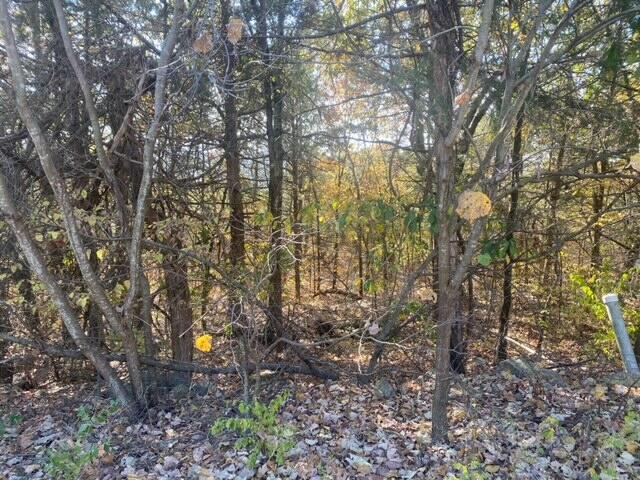 431 Crescent Drive Property Photo 4