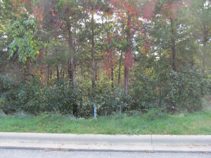 431 Crescent Drive Property Photo 6