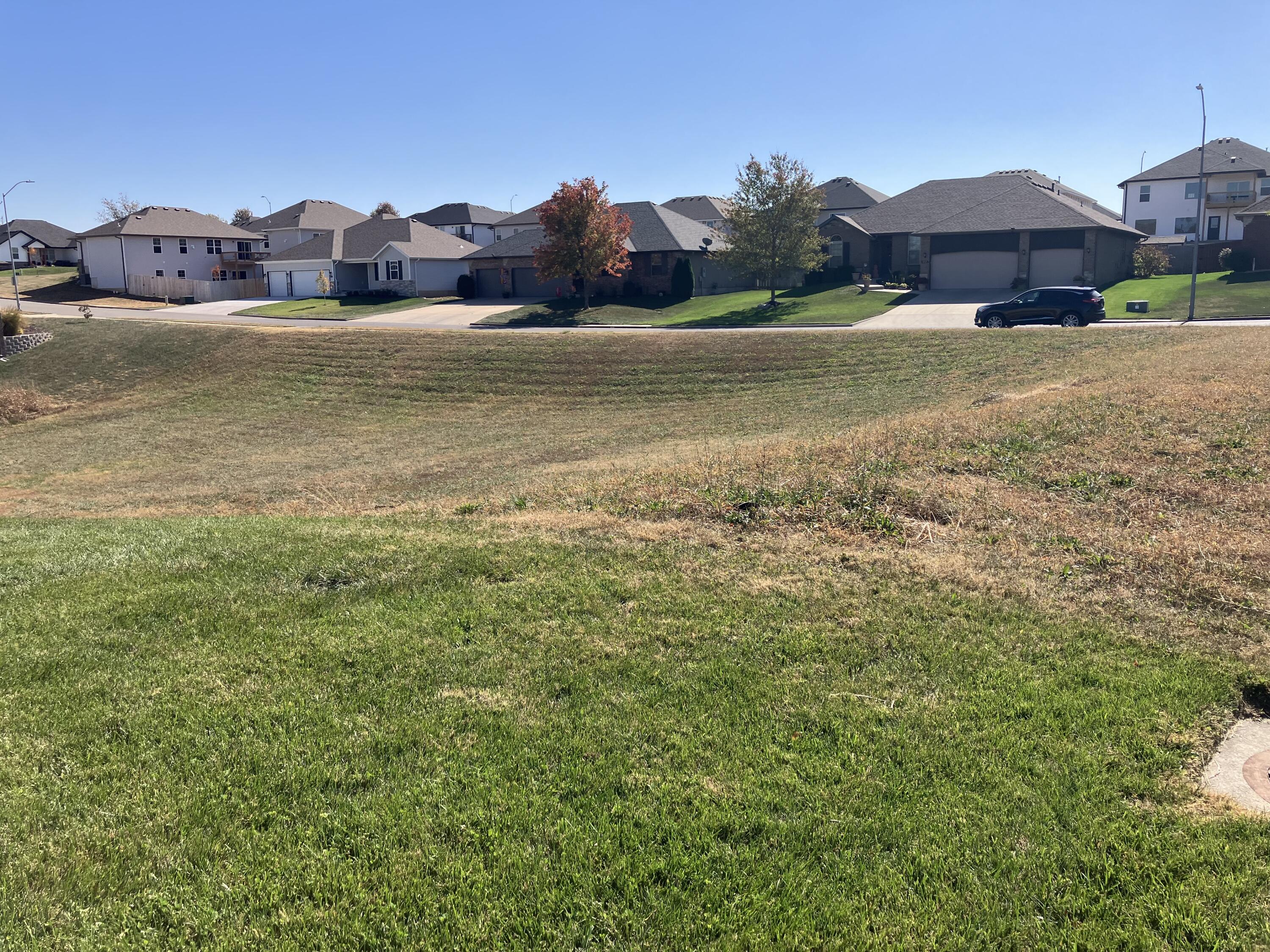 726 Peach Brook Drive Property Photo 4