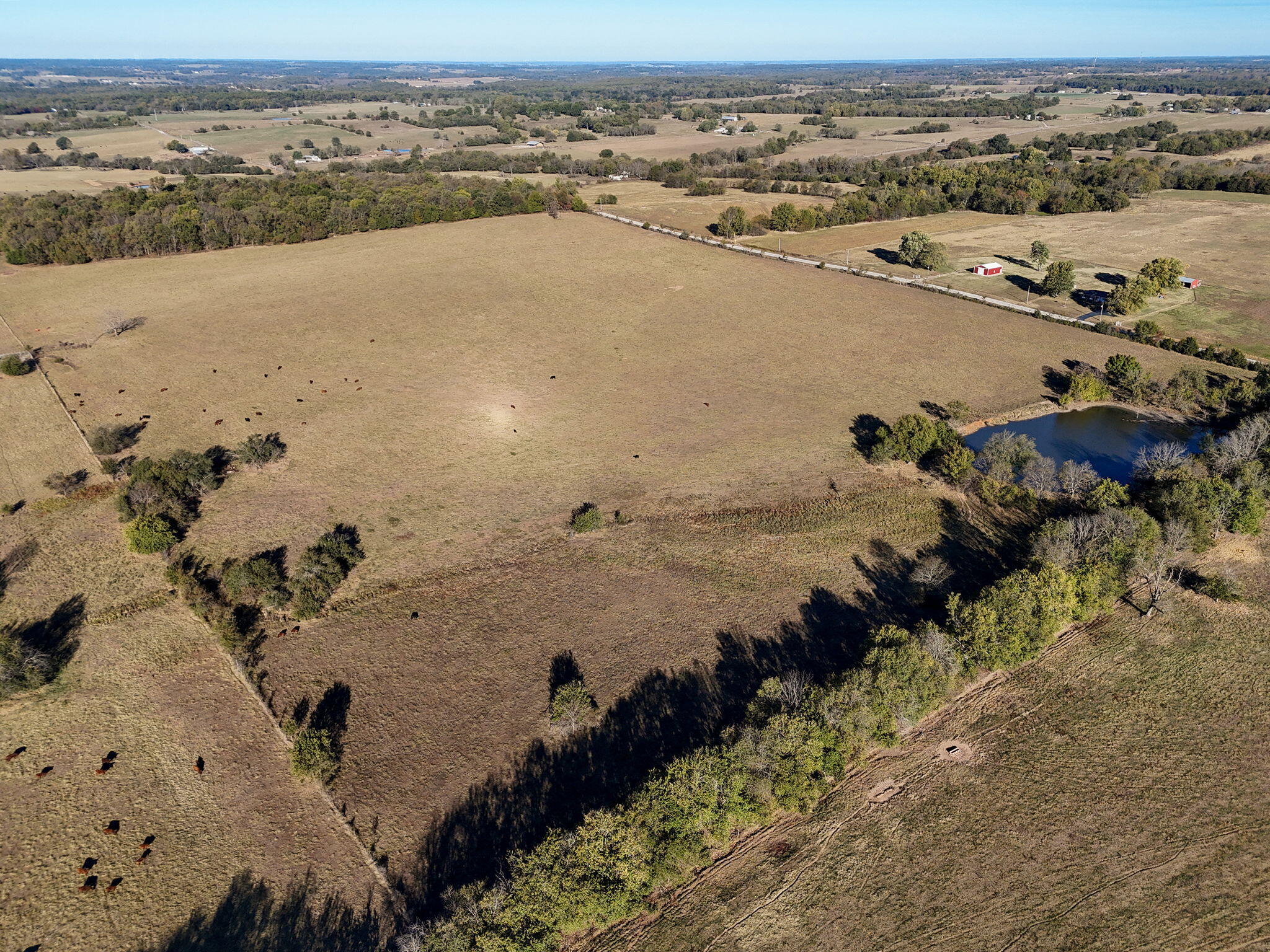 Tbd State Highway Z Property Photo 1