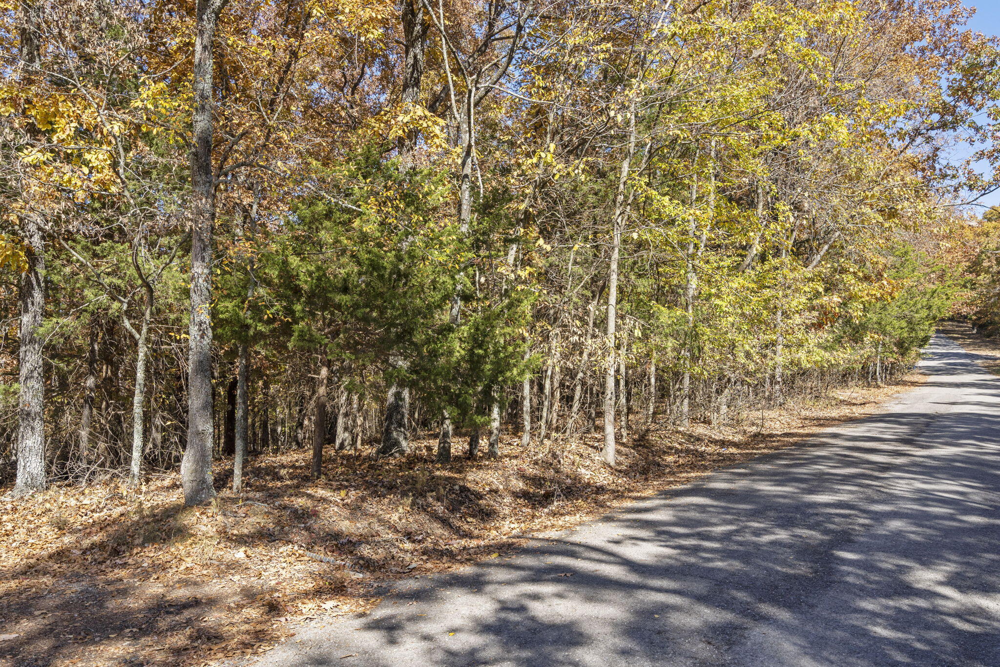 Tbd Old Southern Rd Property Photo 2