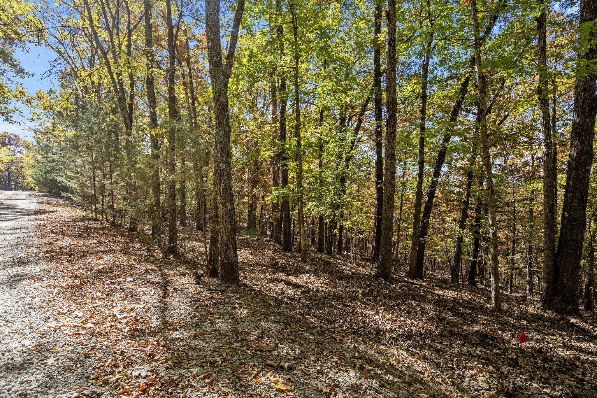 Tbd Old Southern Rd Property Photo 4