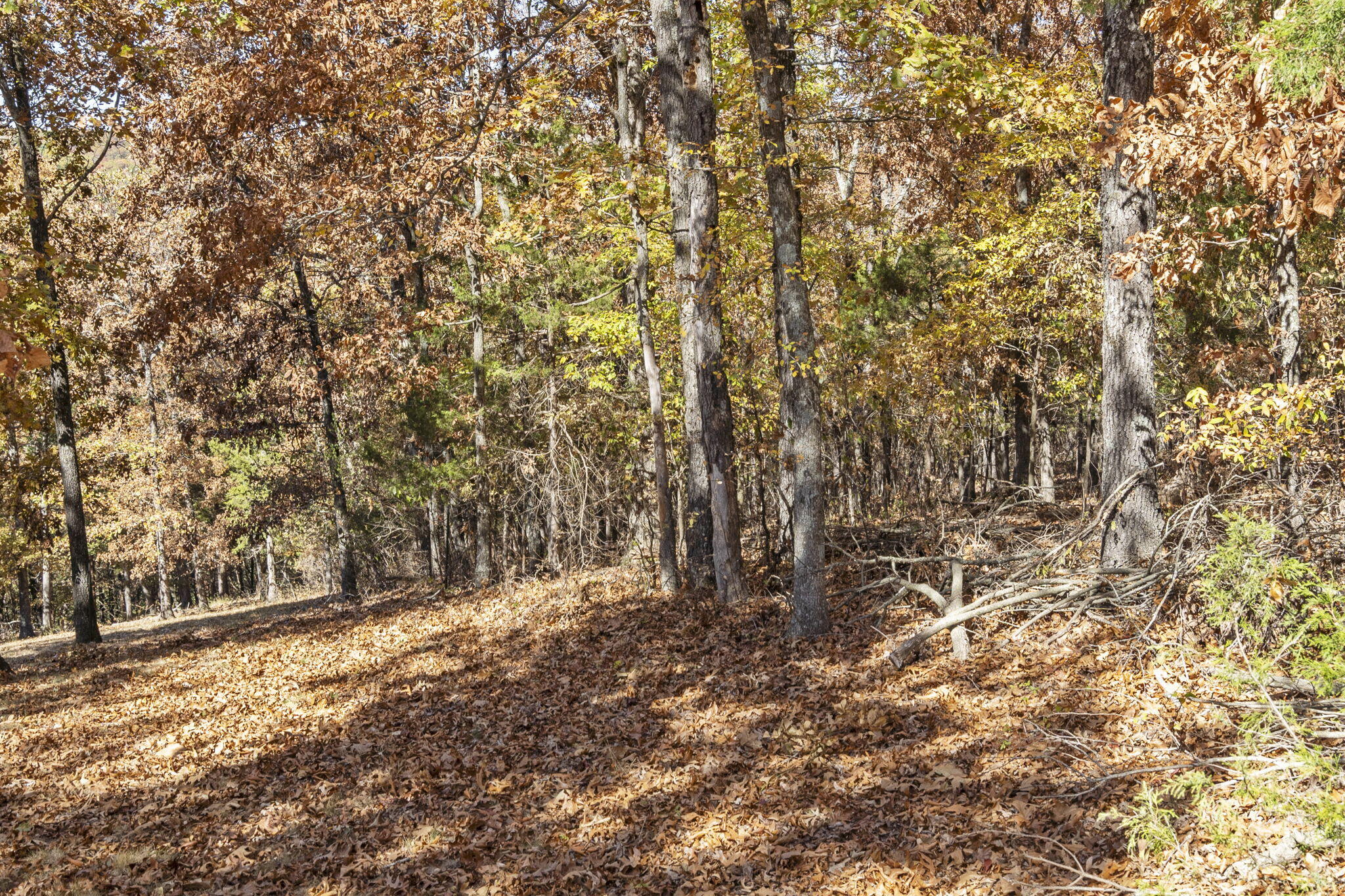 Tbd Old Southern Rd Property Photo 7