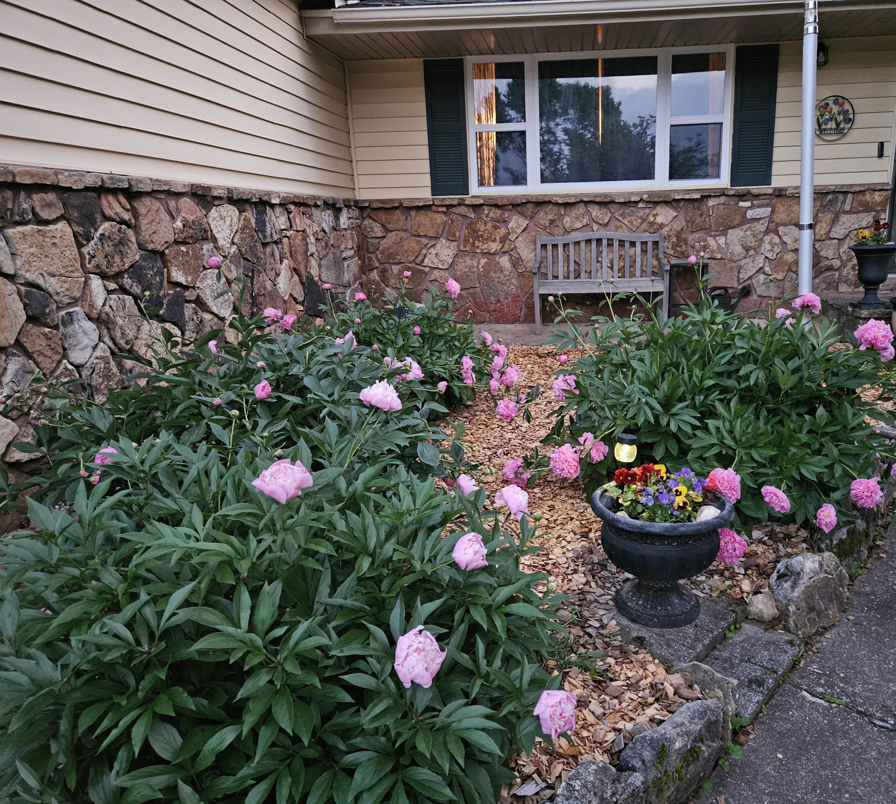 225 Elim Street Property Photo 32