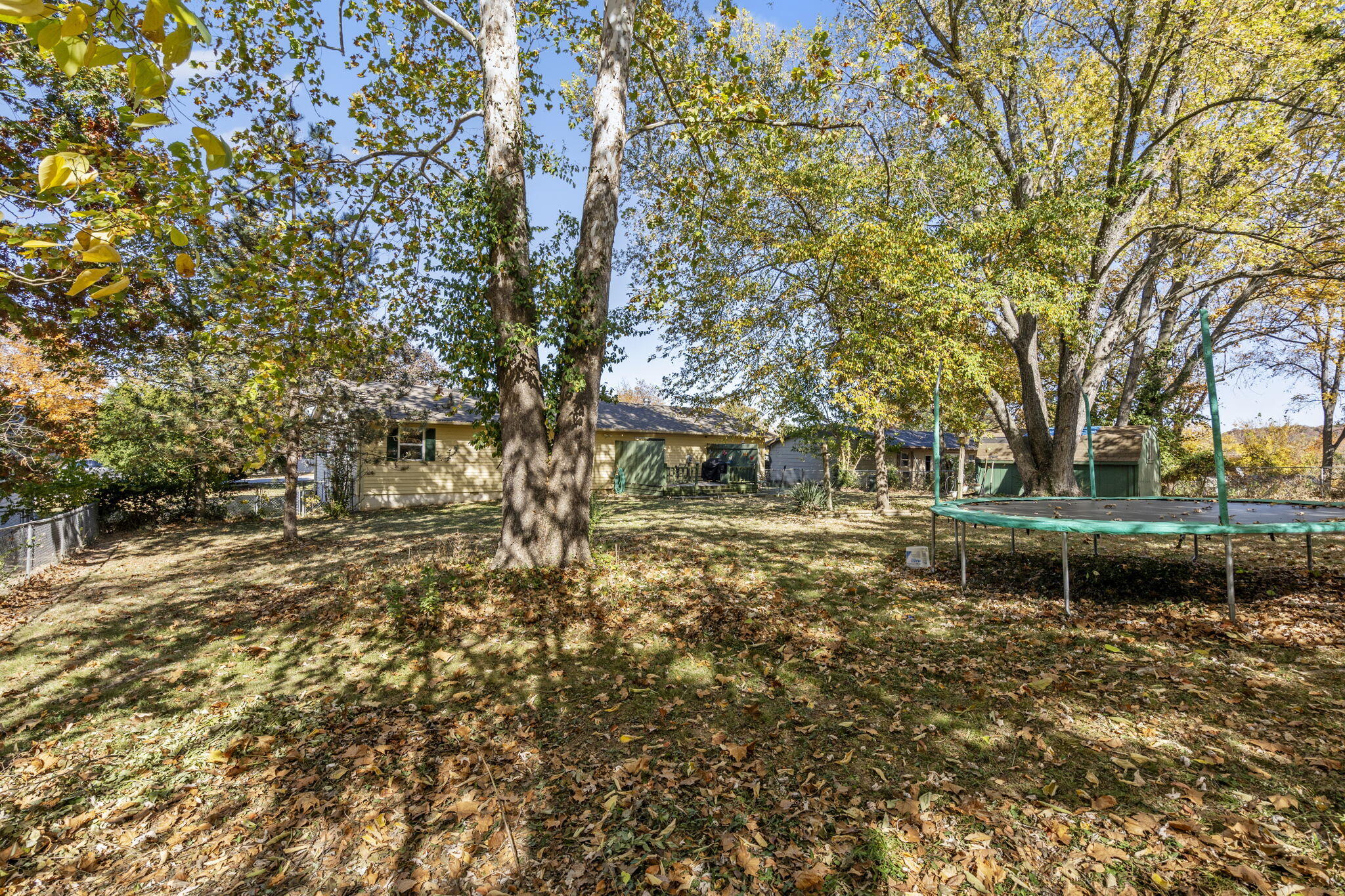 225 Elim Street Property Photo 37