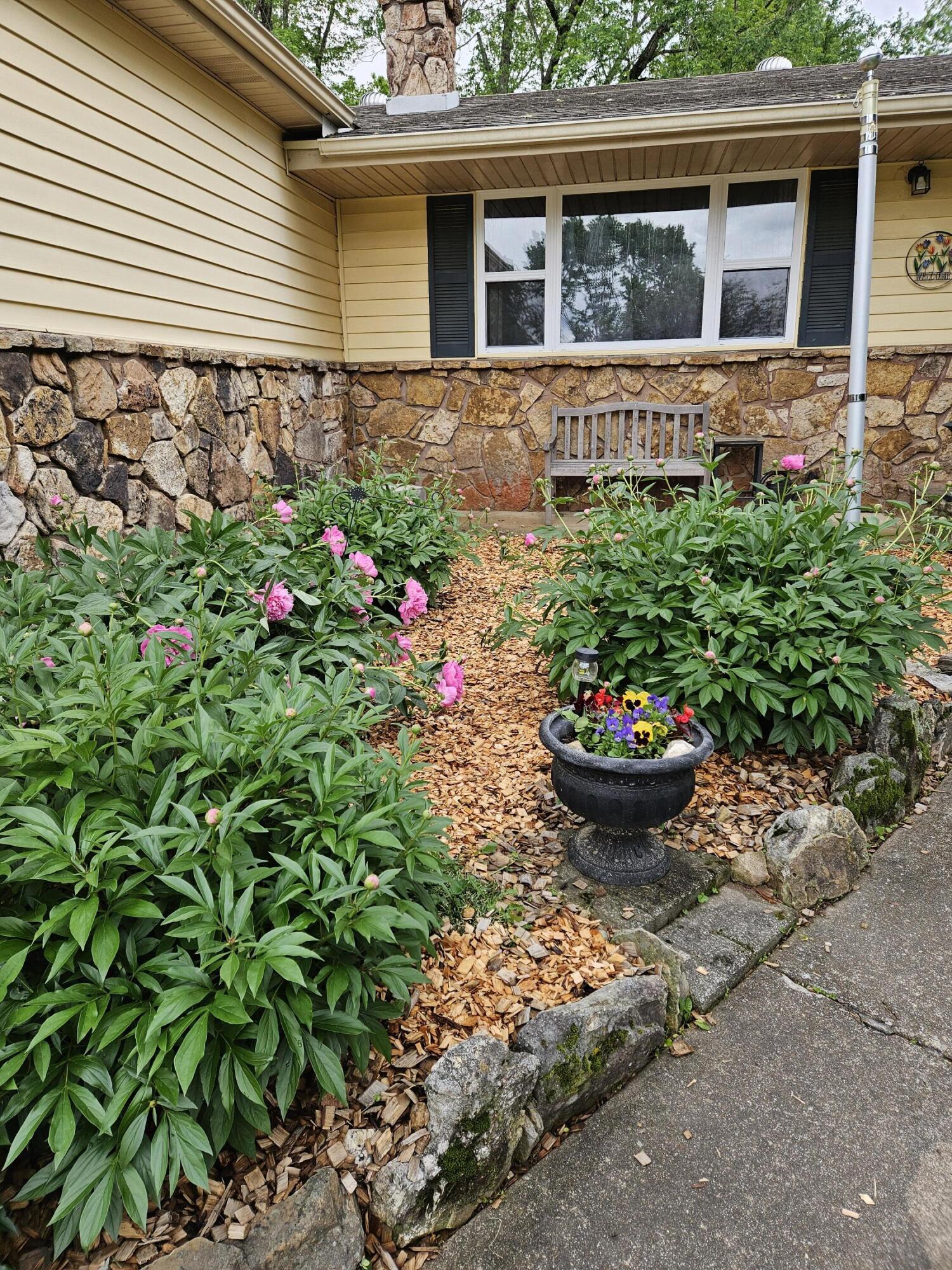 225 Elim Street Property Photo 44