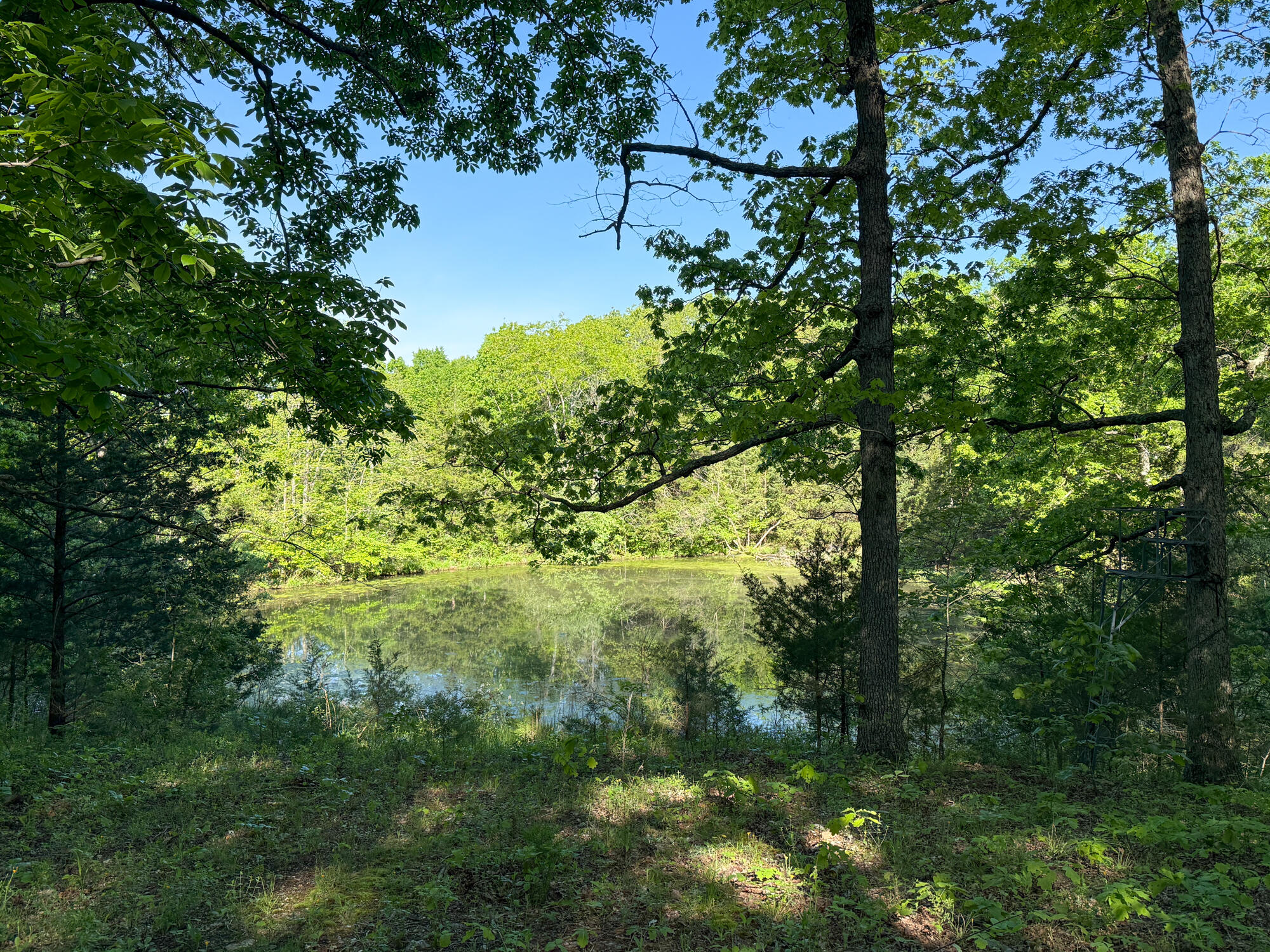 13060 Highway Ee Property Photo 18