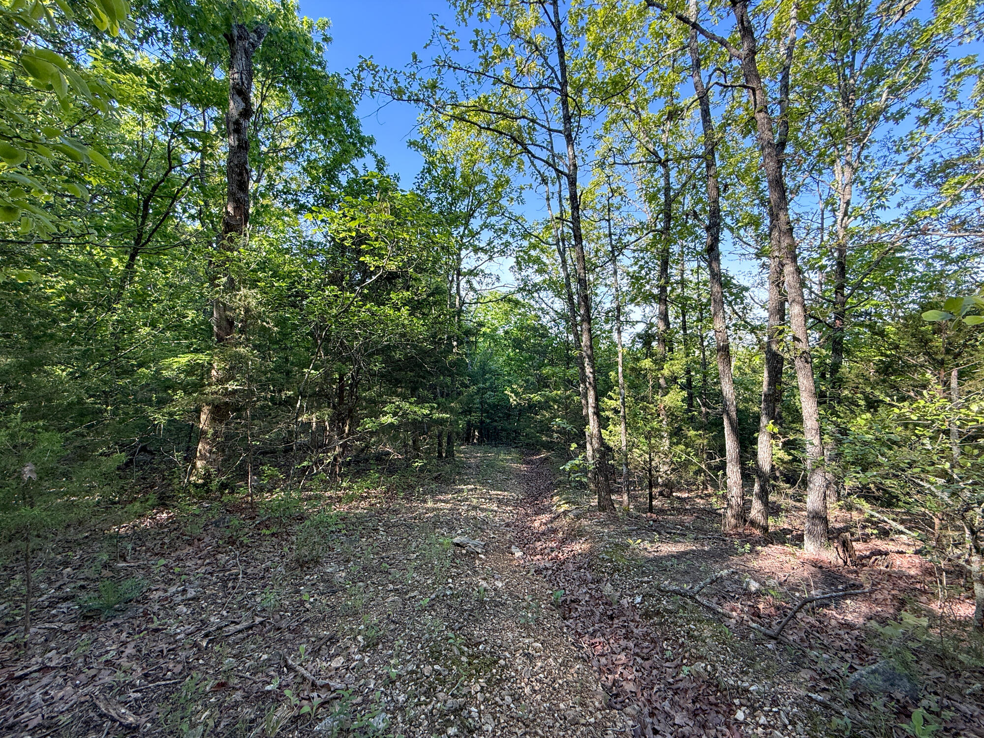 13060 Highway Ee Property Photo 32
