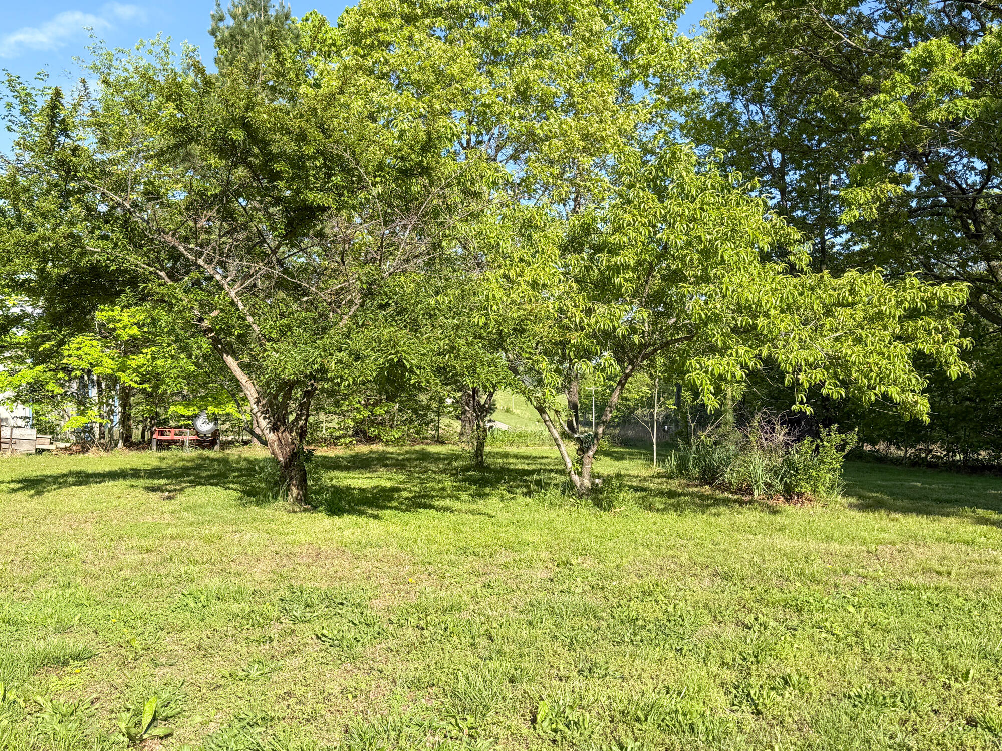13060 Highway Ee Property Photo 33
