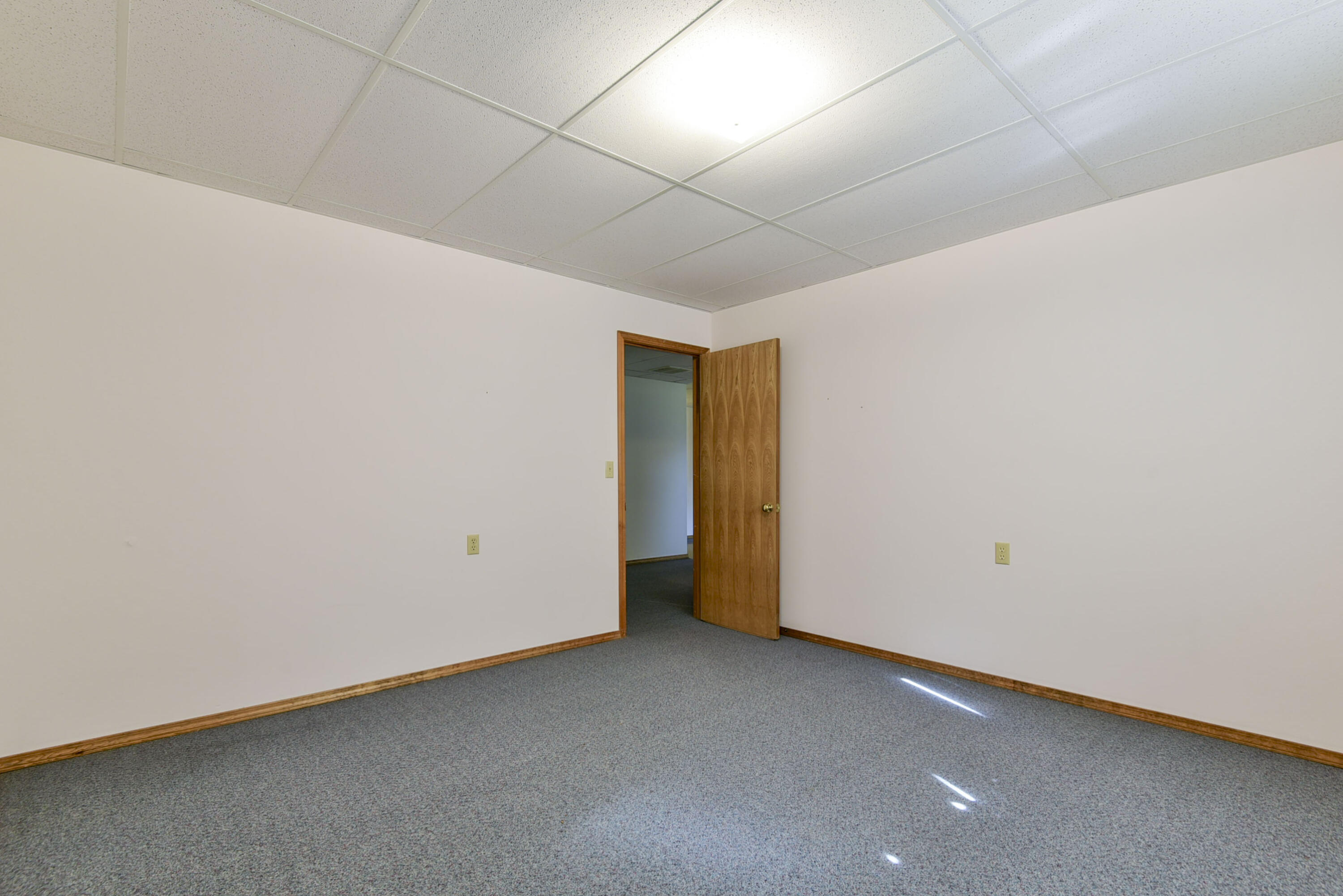 1462 East Powell Street Property Photo 28
