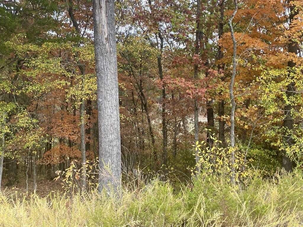 Lot 15 Shinnecock Hills Drive Property Photo 4