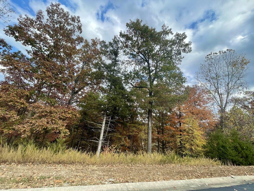 Lot 15 Shinnecock Hills Drive Property Photo 6