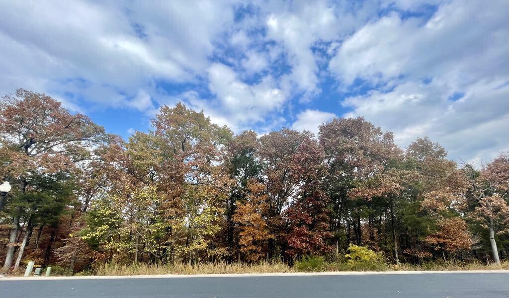 Lot 13 Shinnecock Hills Drive Property Photo 5