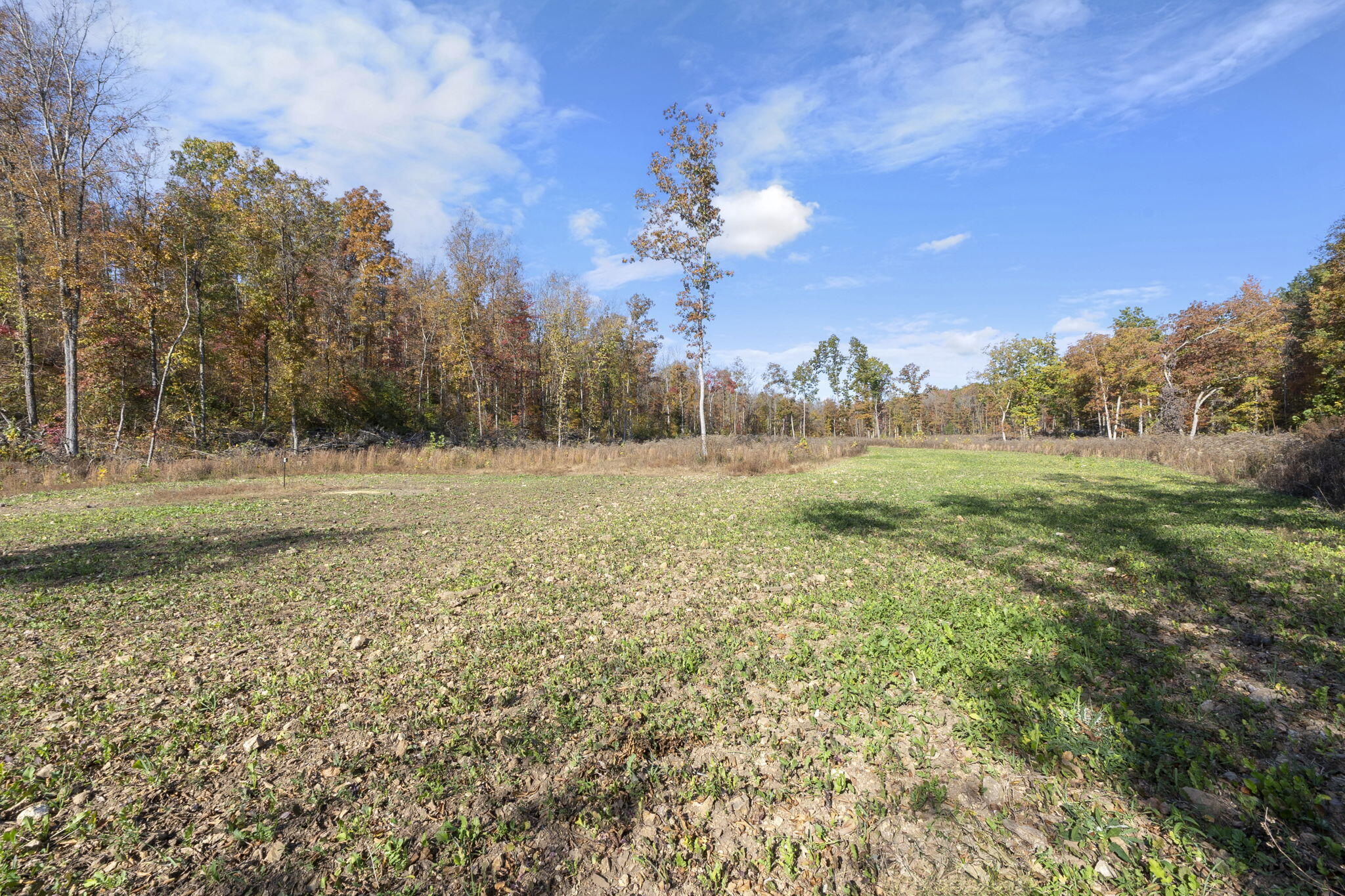 0000 Dogwood Ln Property Photo 81