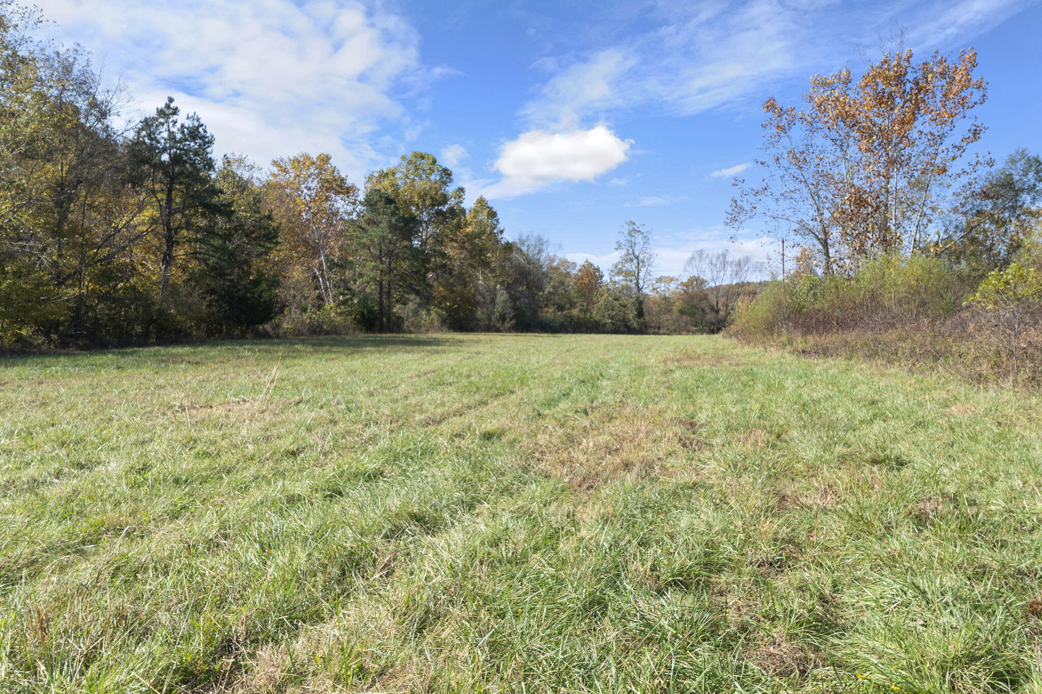 0000 Dogwood Ln Property Photo 93