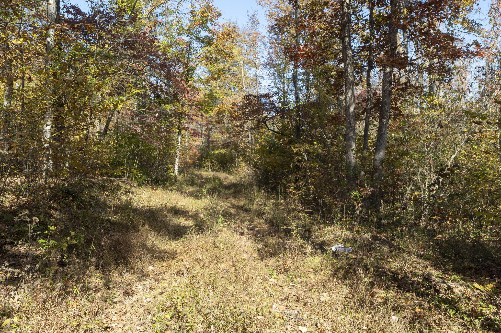 0000 Dogwood Ln Property Photo 102