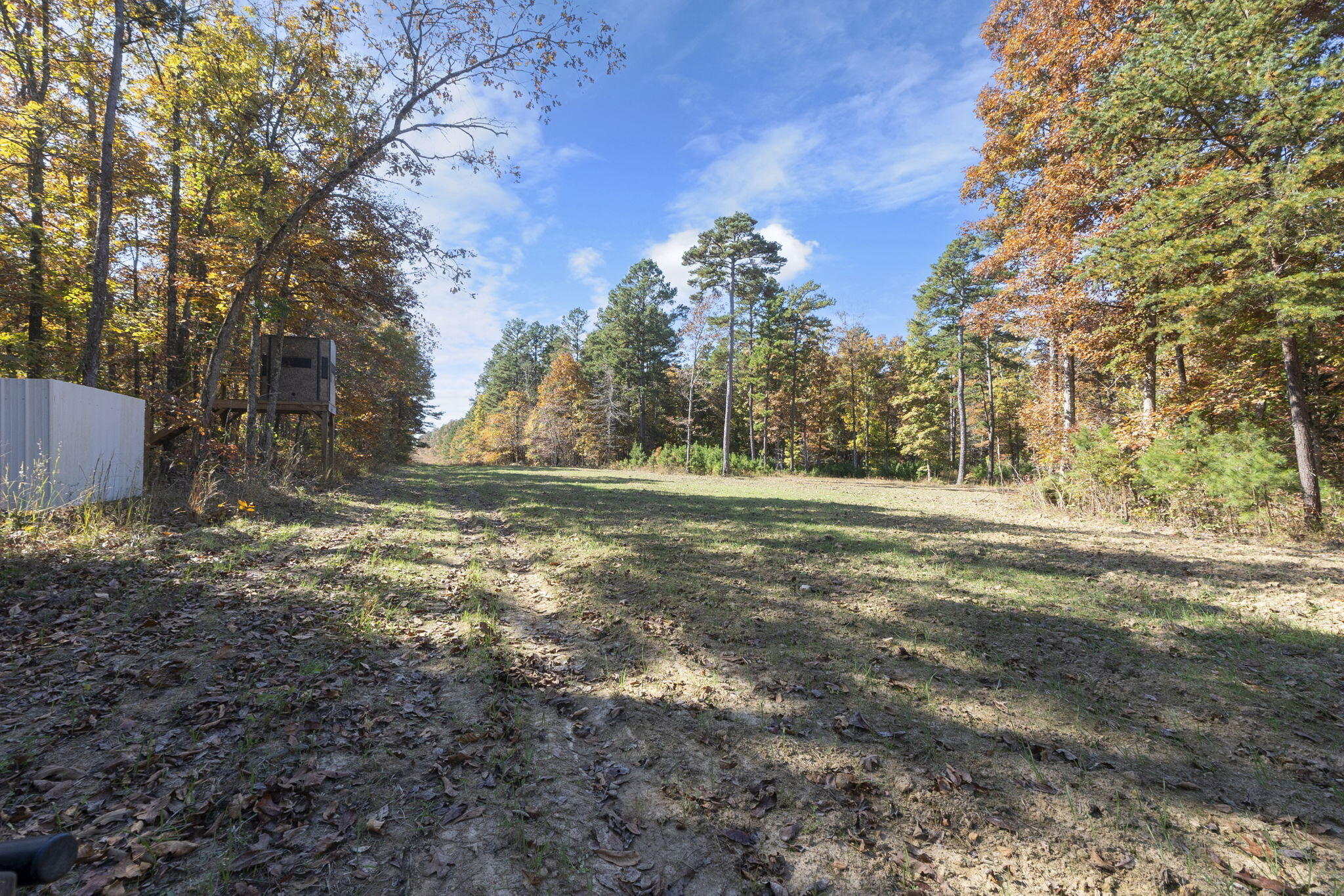 0000 Dogwood Ln Property Photo 104