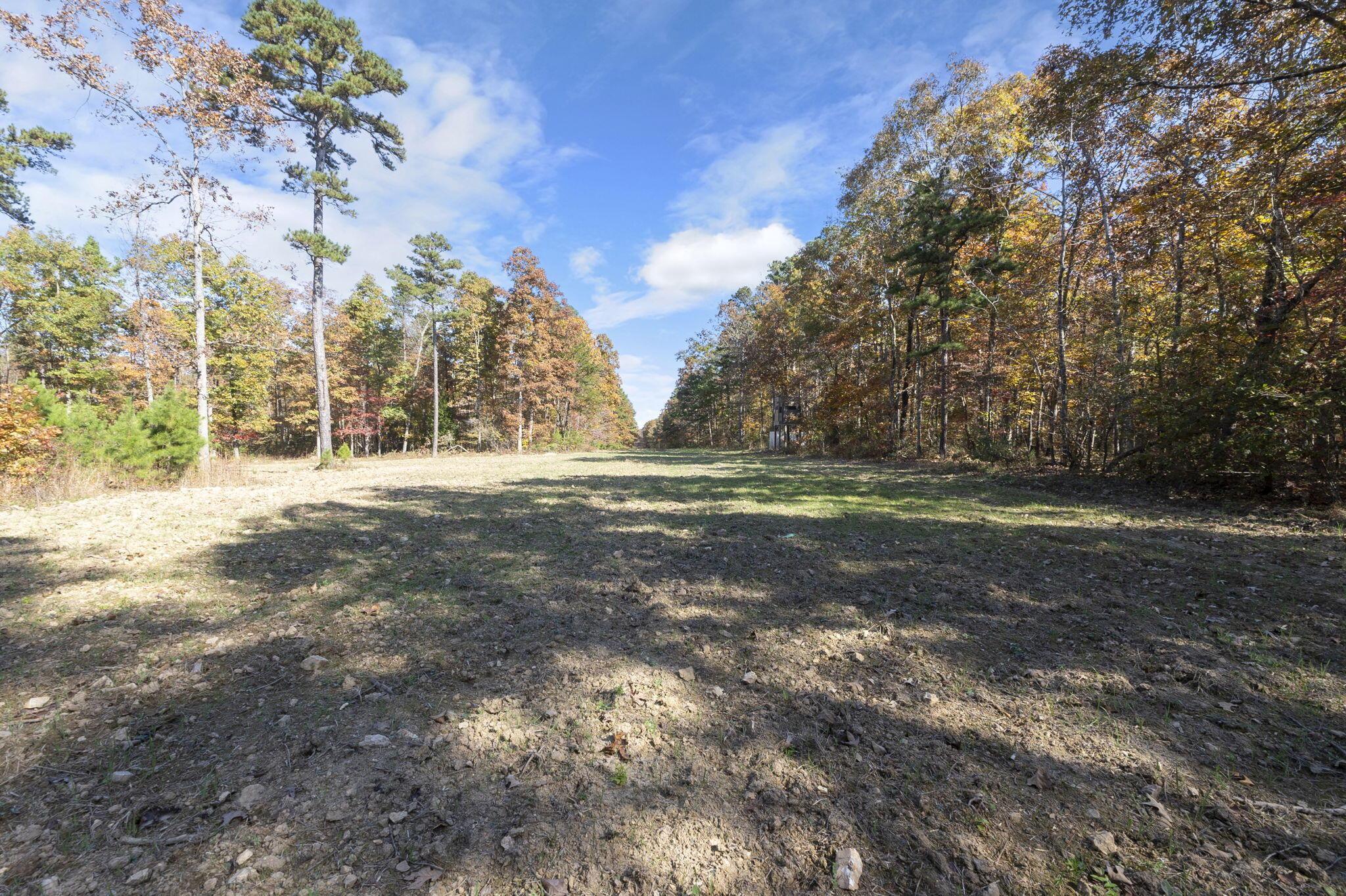 0000 Dogwood Ln Property Photo 105
