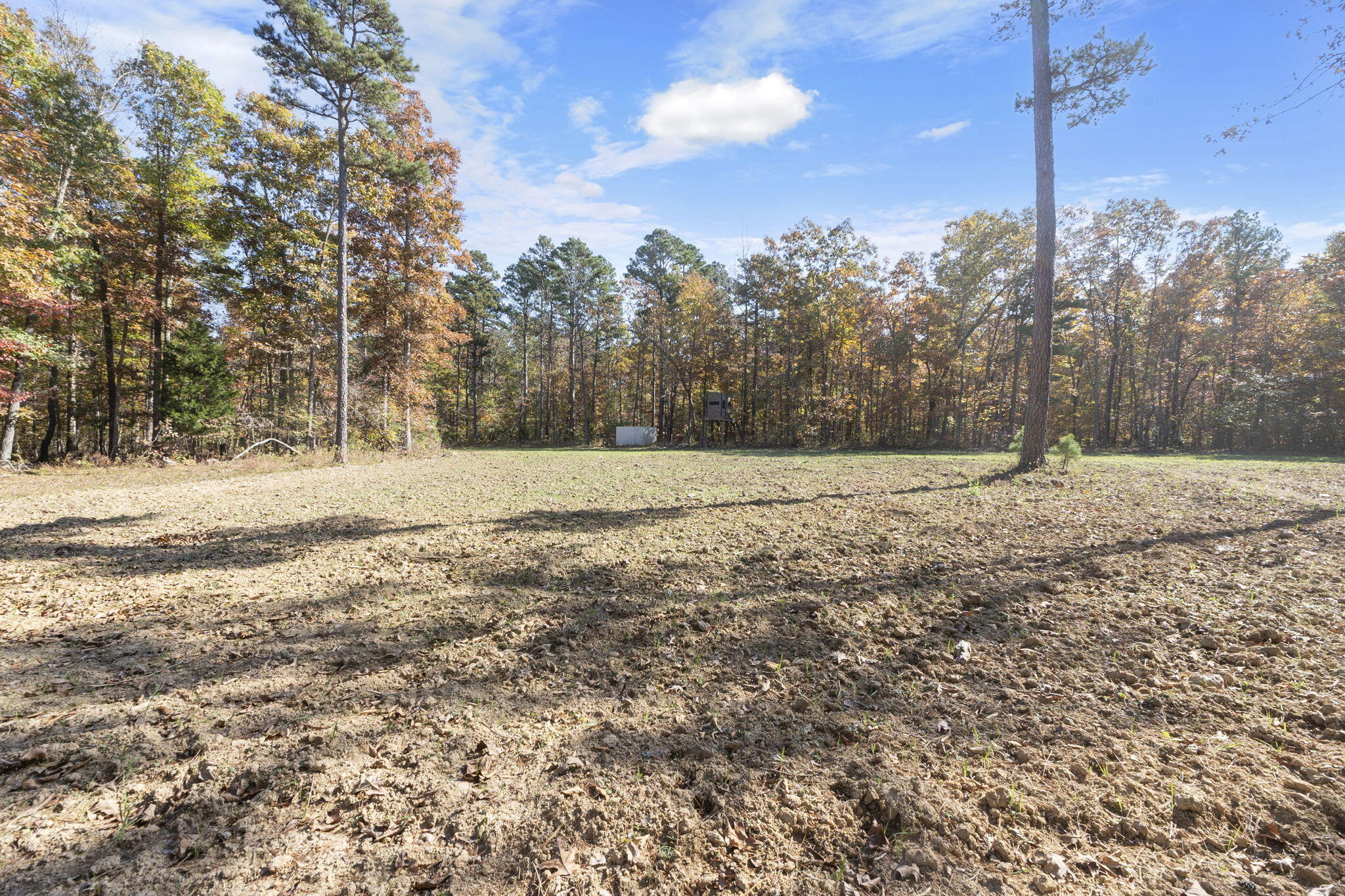 0000 Dogwood Ln Property Photo 106